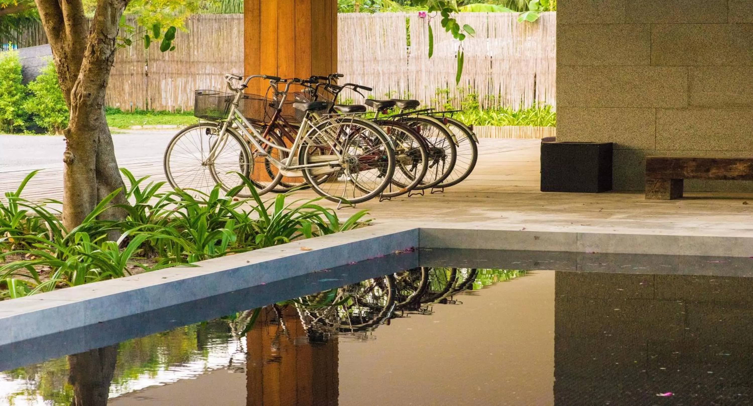 Activities in Tolani Resort Kui Buri