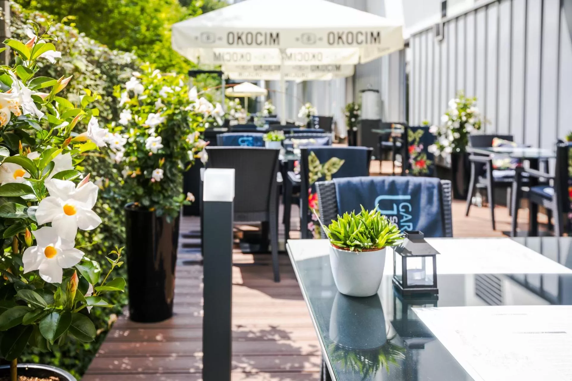 Patio in Focus Hotel Premium Kraków