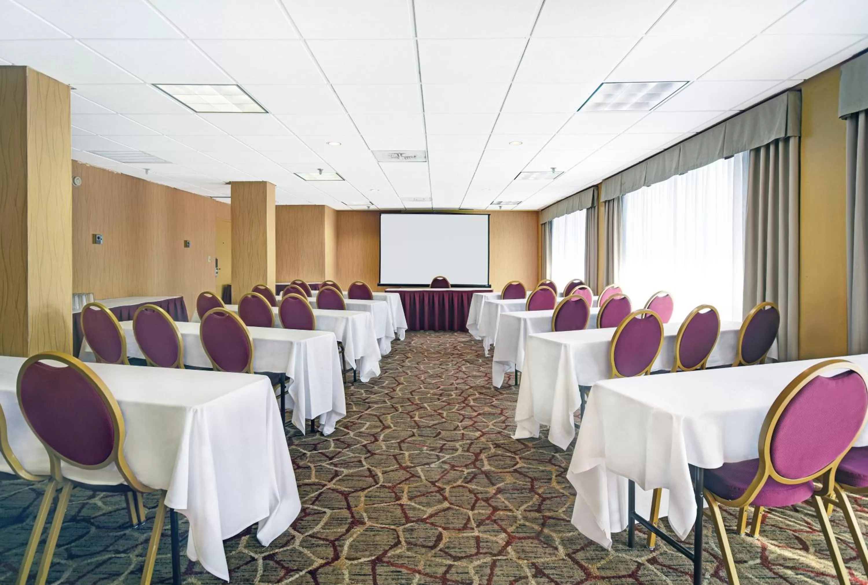 Meeting/conference room in Holiday Inn - Memphis Downtown - Beale St. by IHG