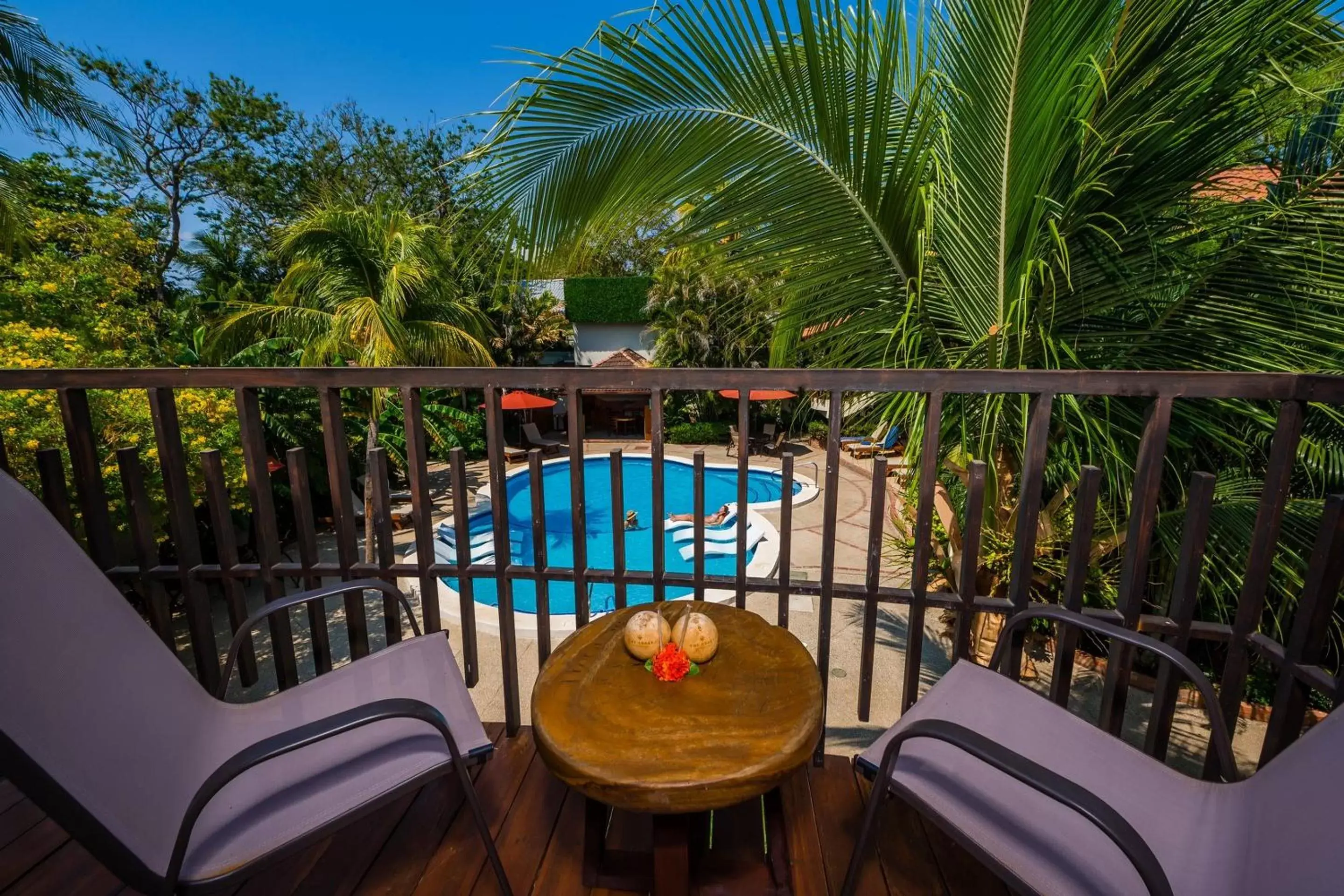 View (from property/room), Pool View in The Coast Beachfront Hotel