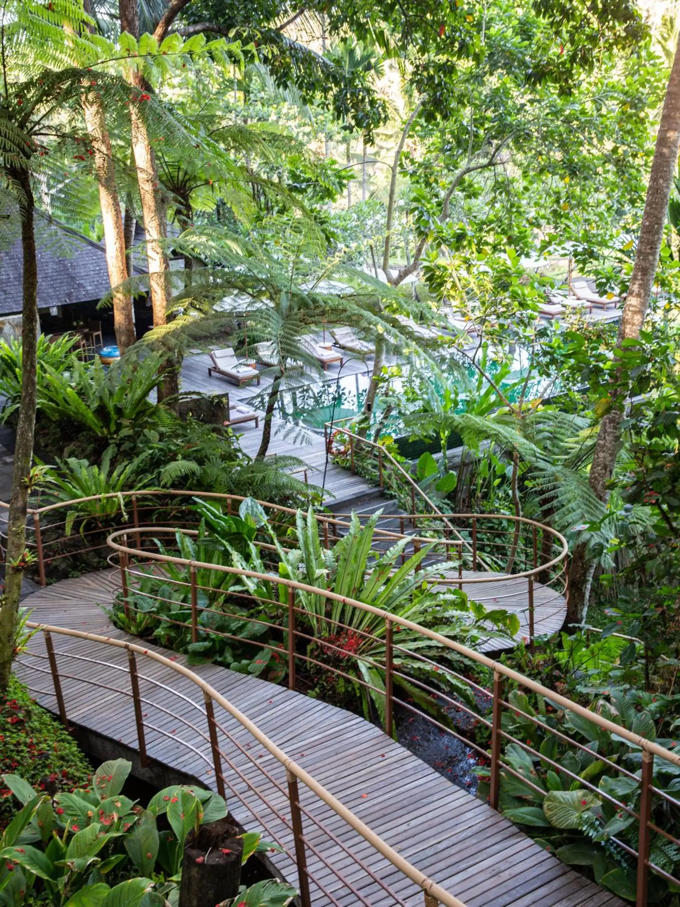 View (from property/room) in Komaneka at Bisma Ubud View (from property/room) in Komaneka at Bisma Ubud