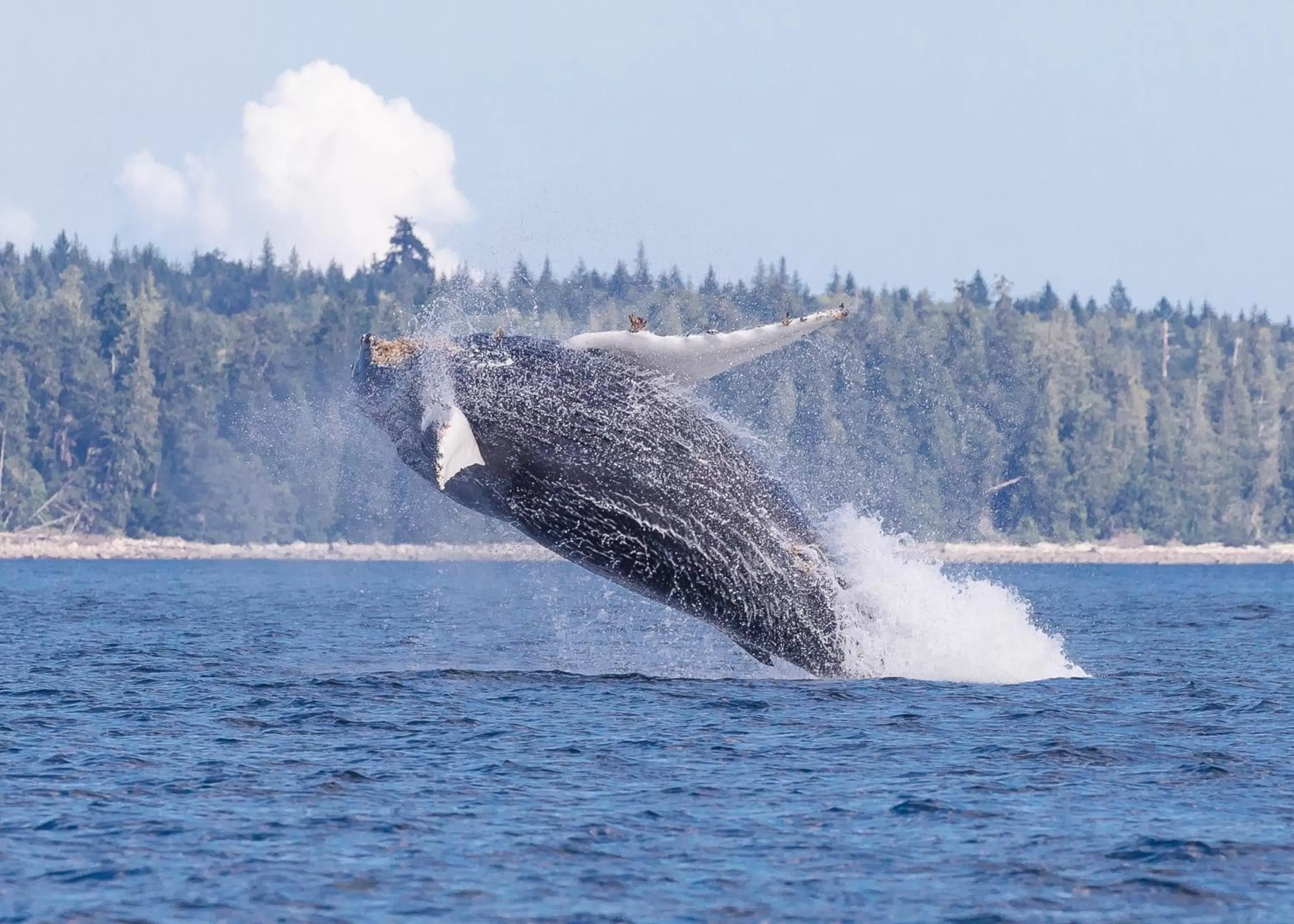 Activities in Money Pennies Bed and Breakfast