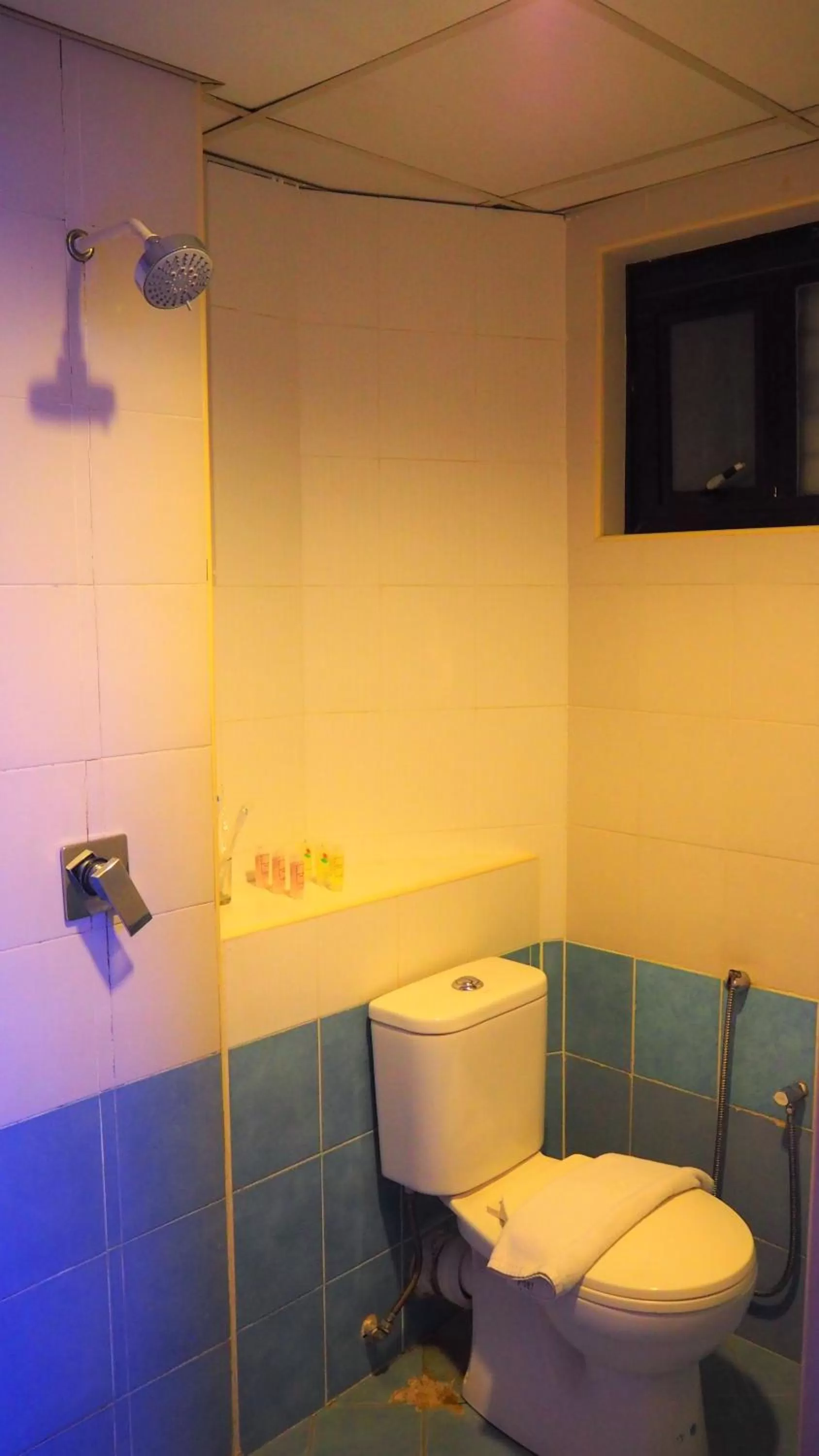 Toilet in Leo Palace Hotel Classic Wing, WTC Kuala Lumpur