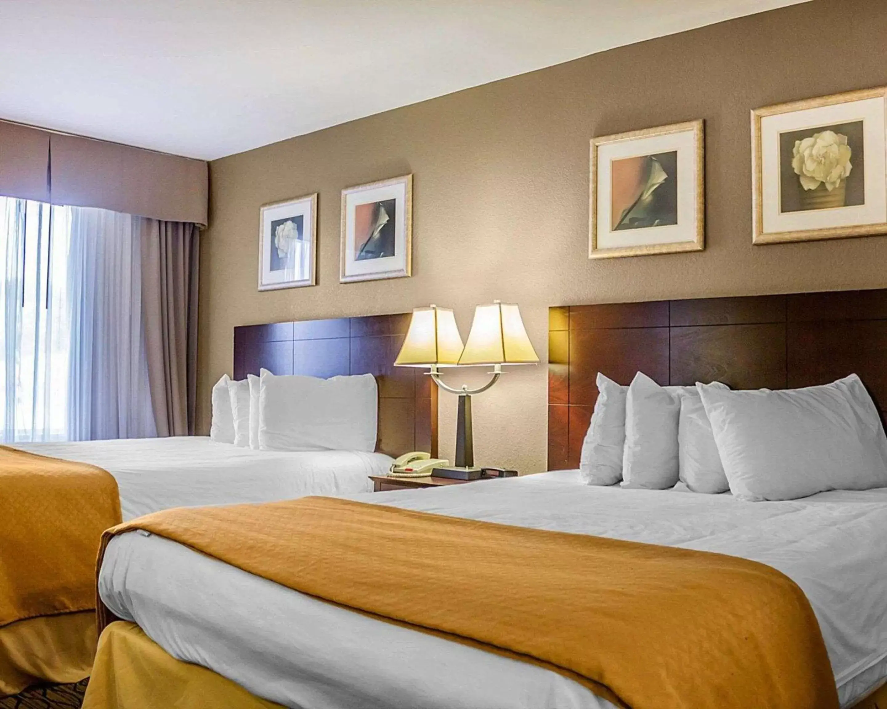 Photo of the whole room, Bed in Quality Inn Waterbury East Photo of the whole room, Bed in Quality Inn Waterbury East