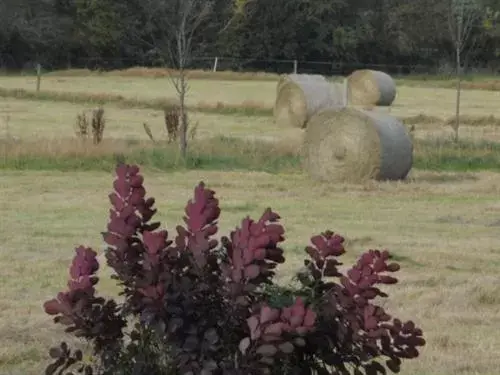 Natural landscape in The Stables - Deer Park Farm