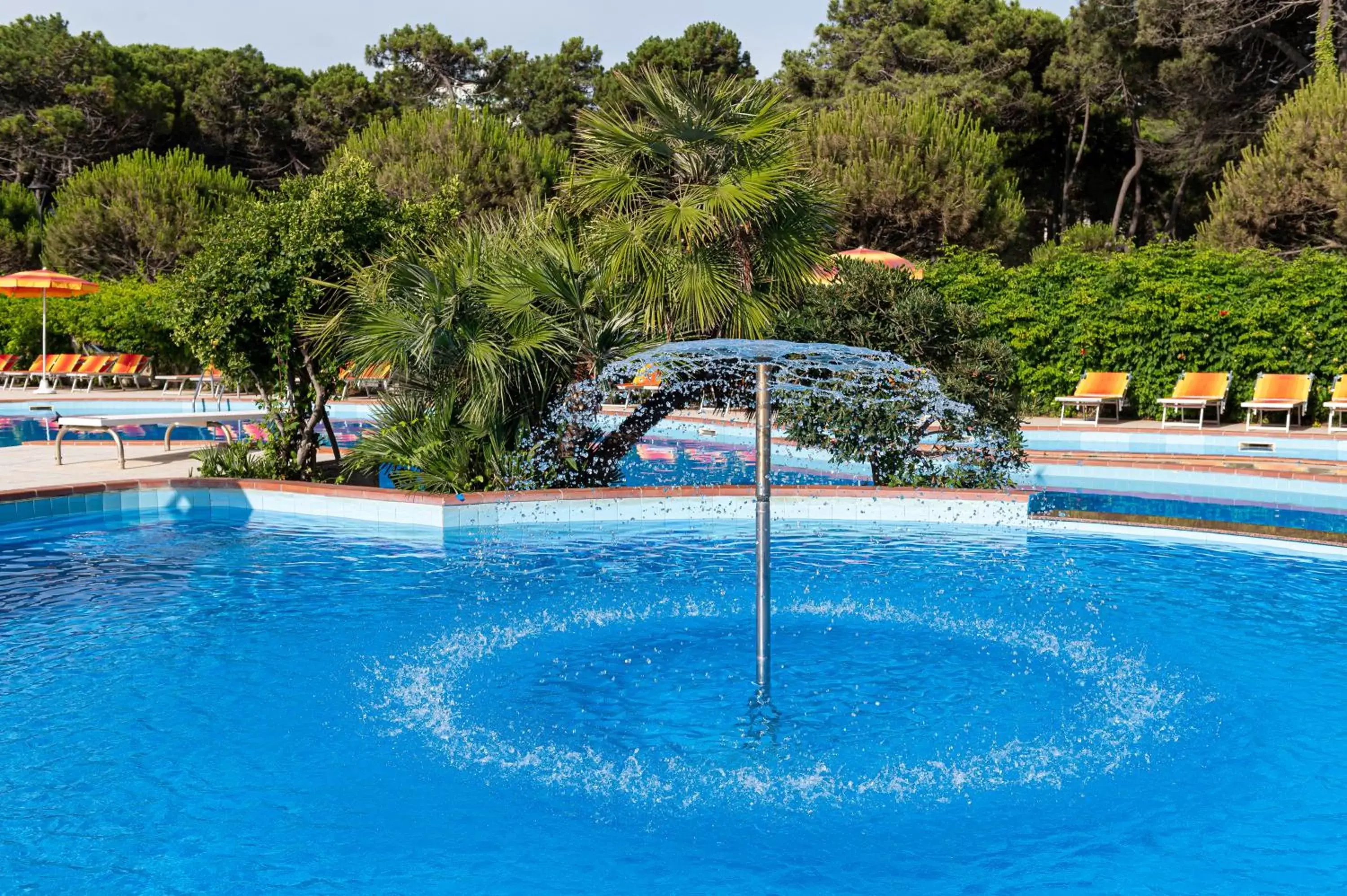 Swimming Pool in Hotel Adria