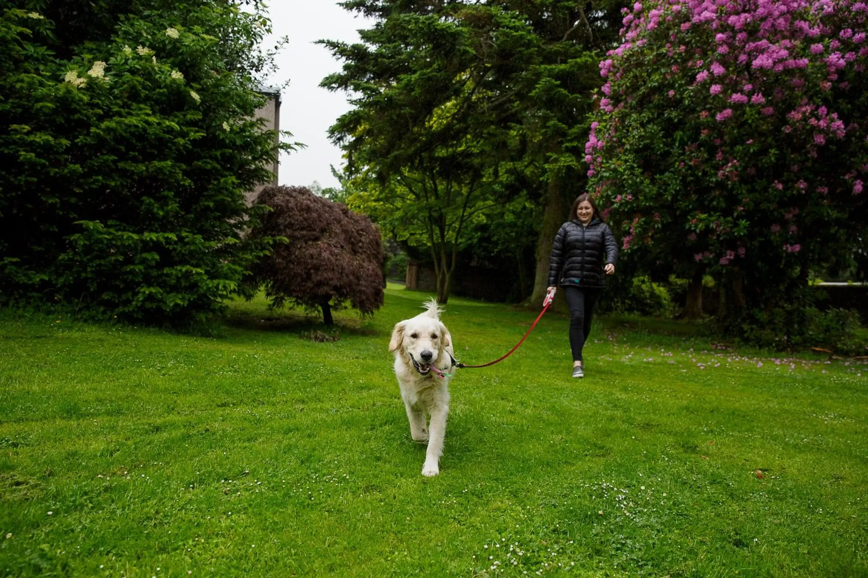 Garden, Pets in The Murray Park Hotel