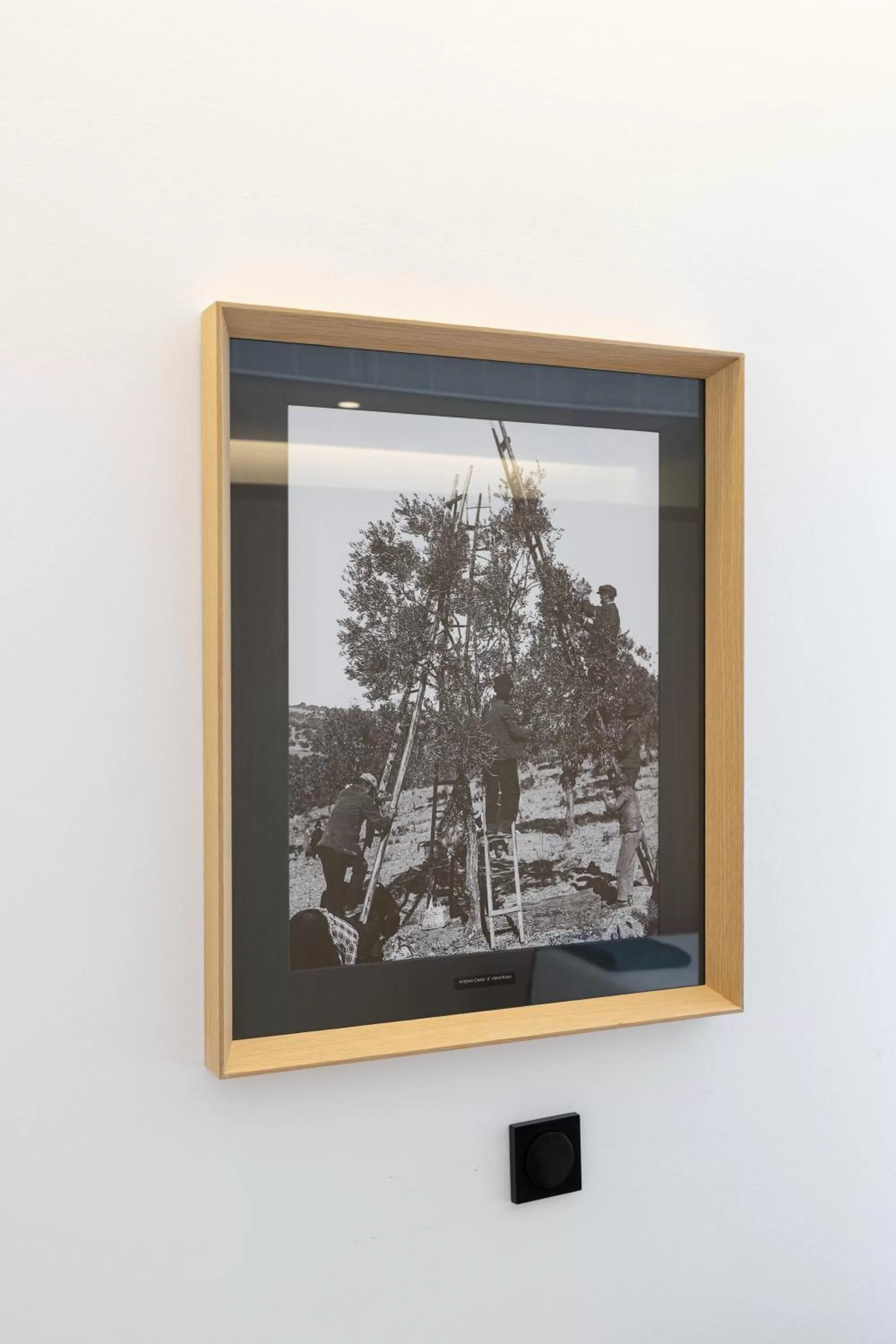 Decorative detail in Evora Olive Hotel