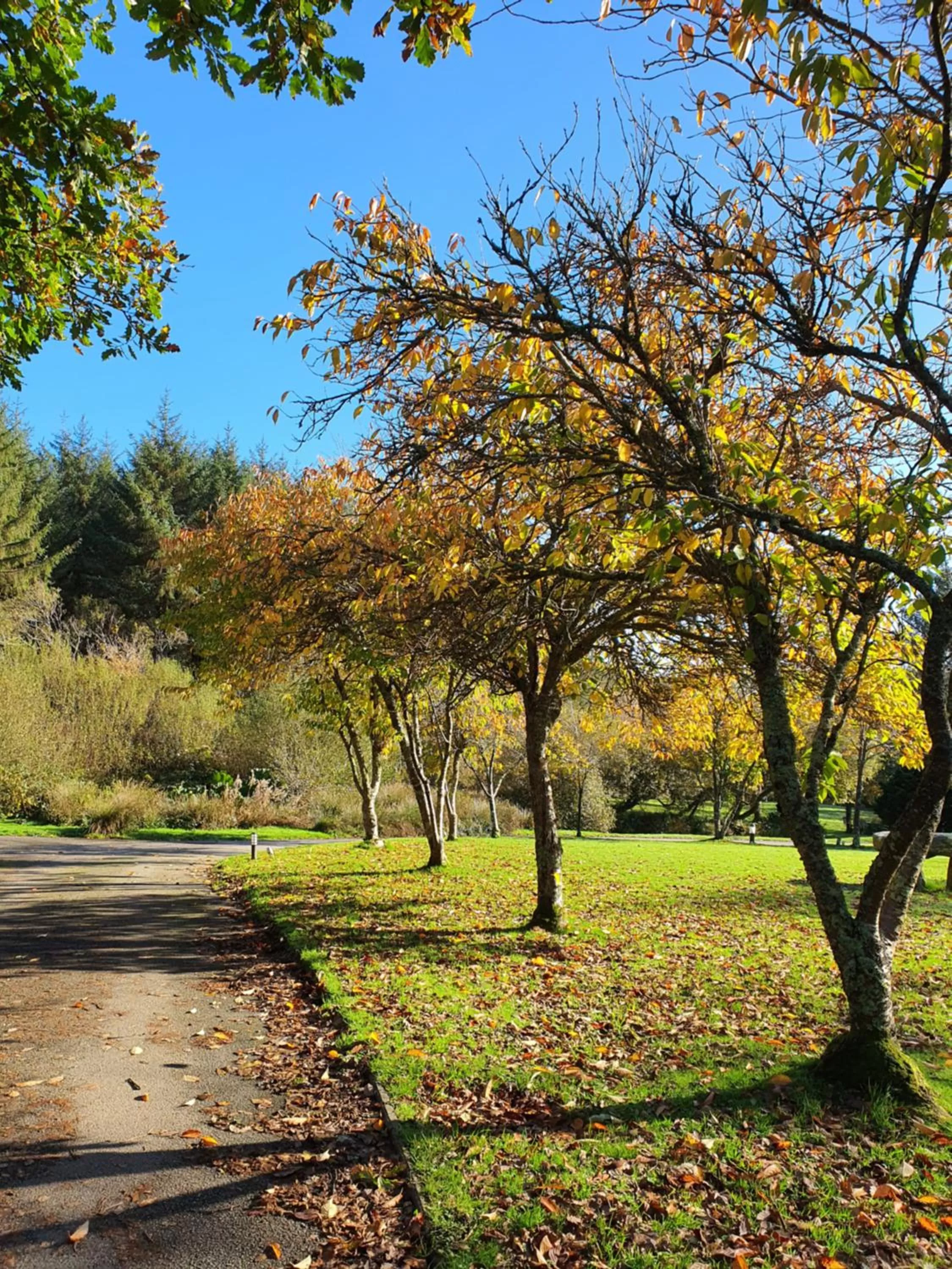 Natural landscape in Hustyns Resort Cornwall