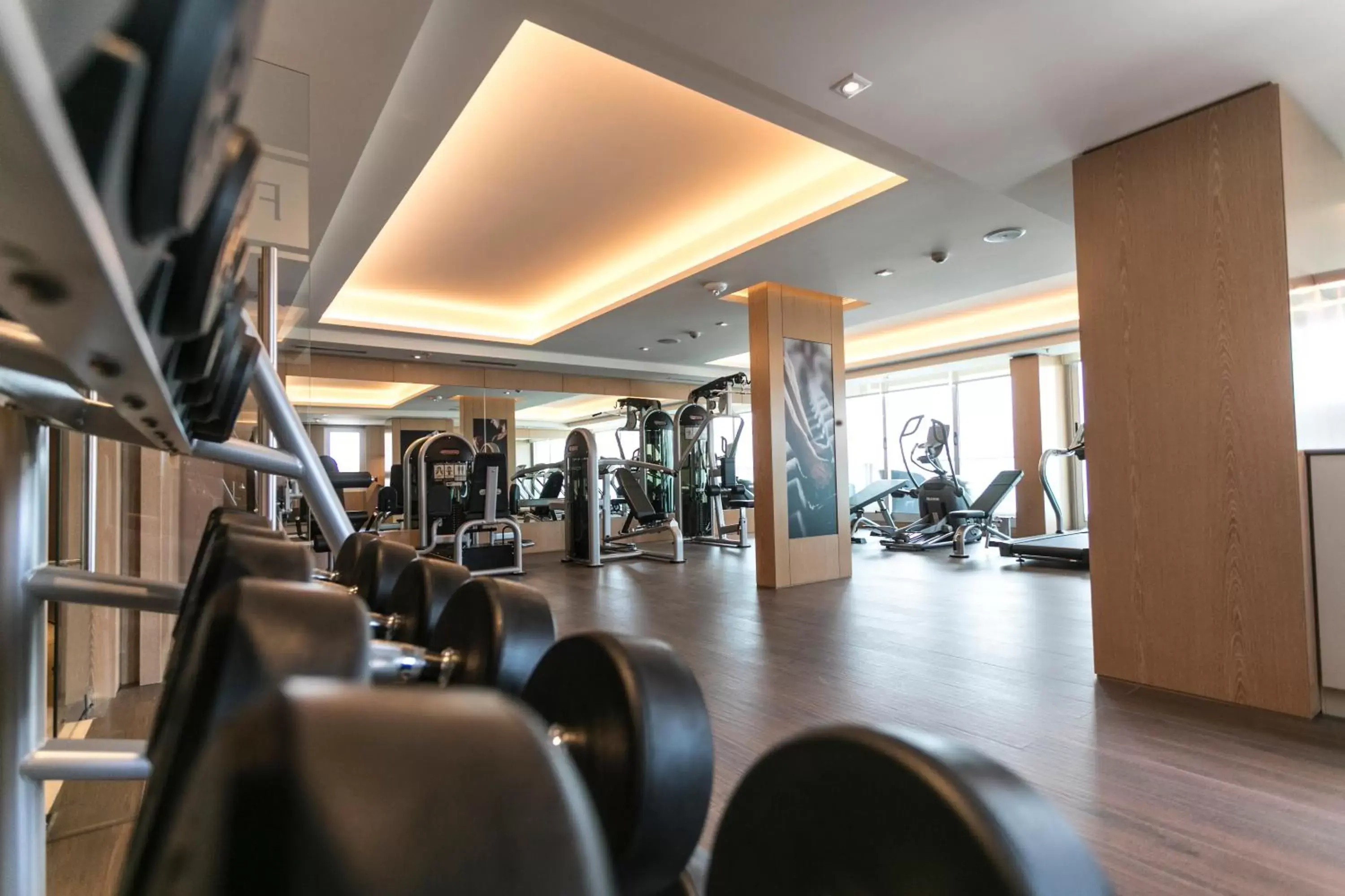 Activities, Fitness Center/Facilities in Palladio Hotel Buenos Aires - MGallery