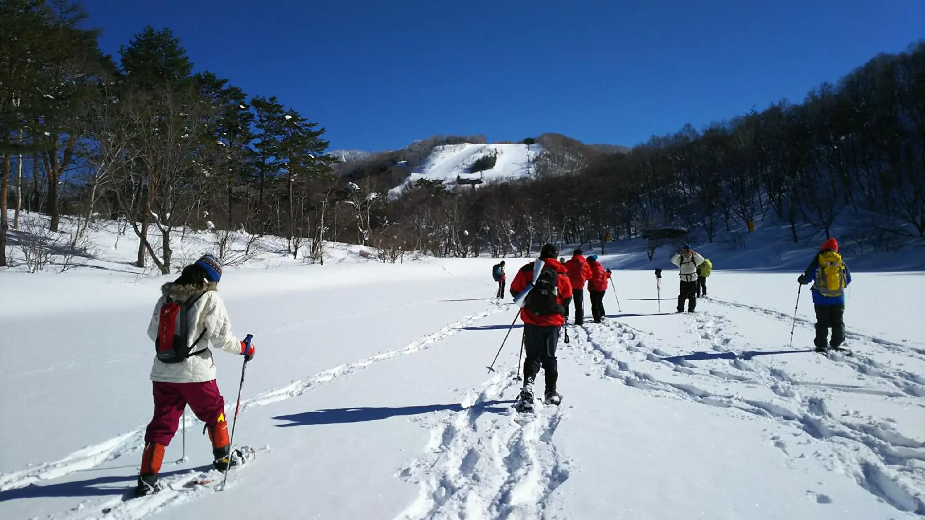 Sports, Winter in Shiga Palace Hotel