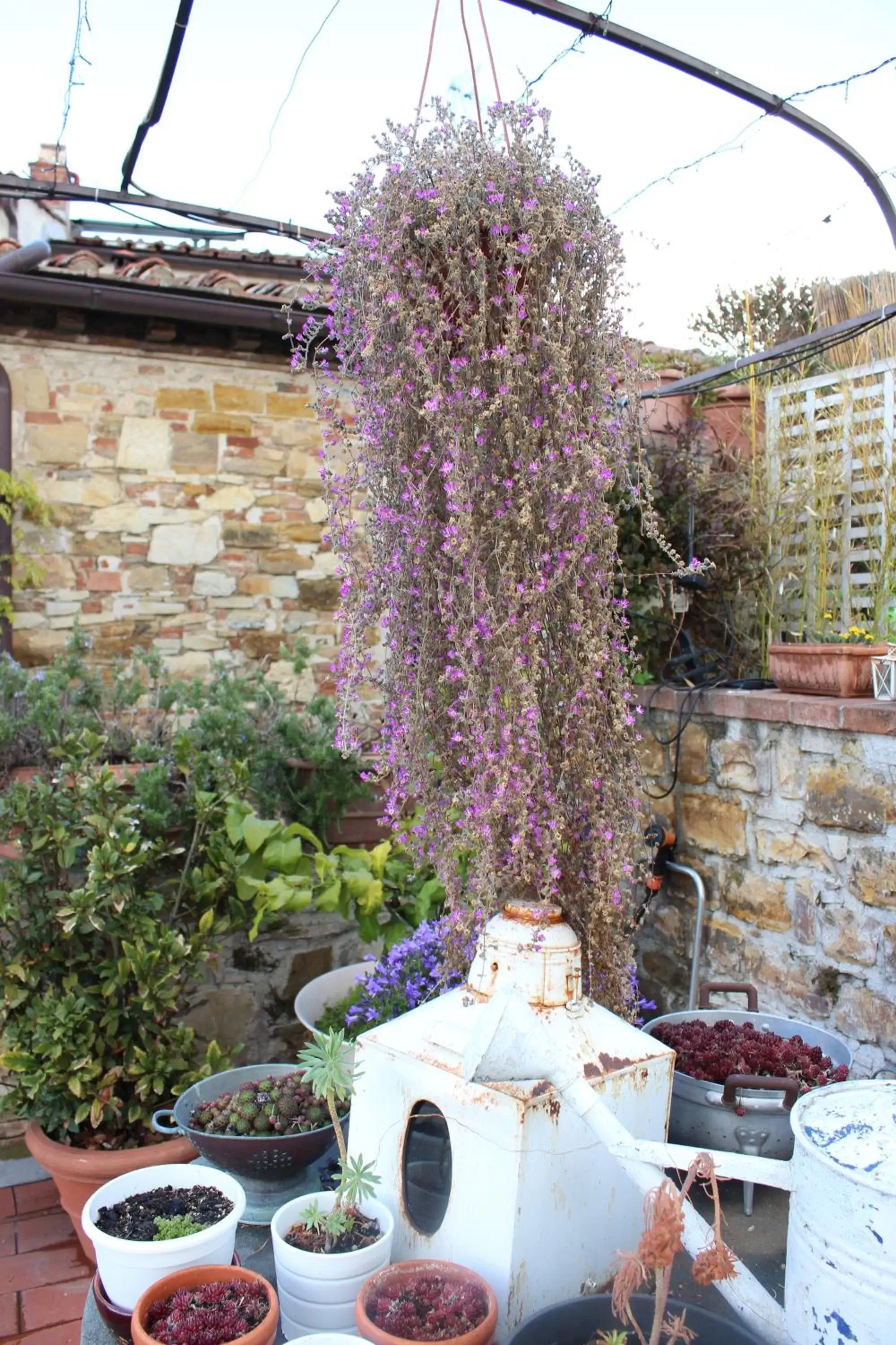 Patio, Restaurant/Places to Eat in Le Terrazze Del Chianti