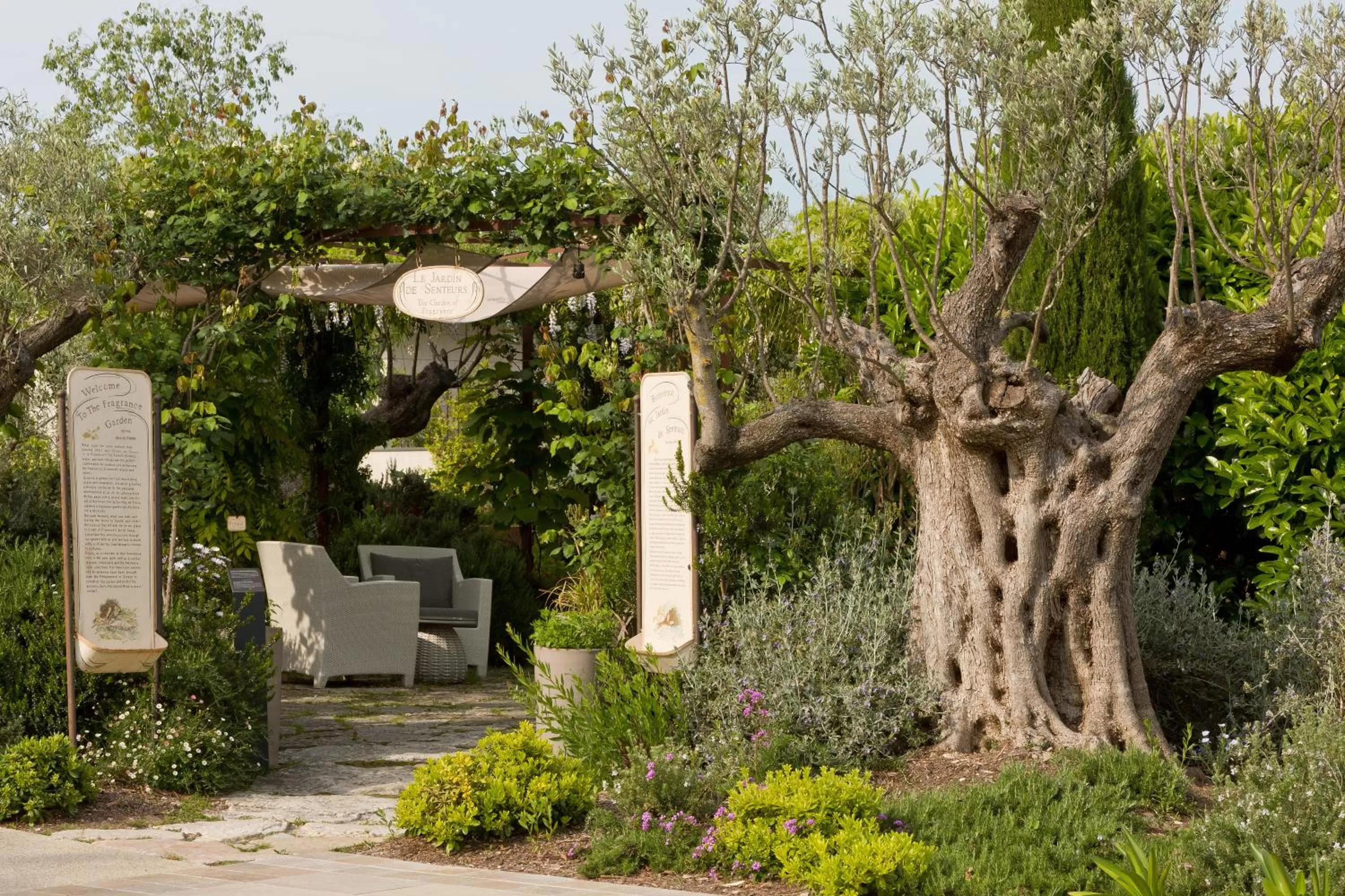 Garden in Domaine du Mas De Pierre