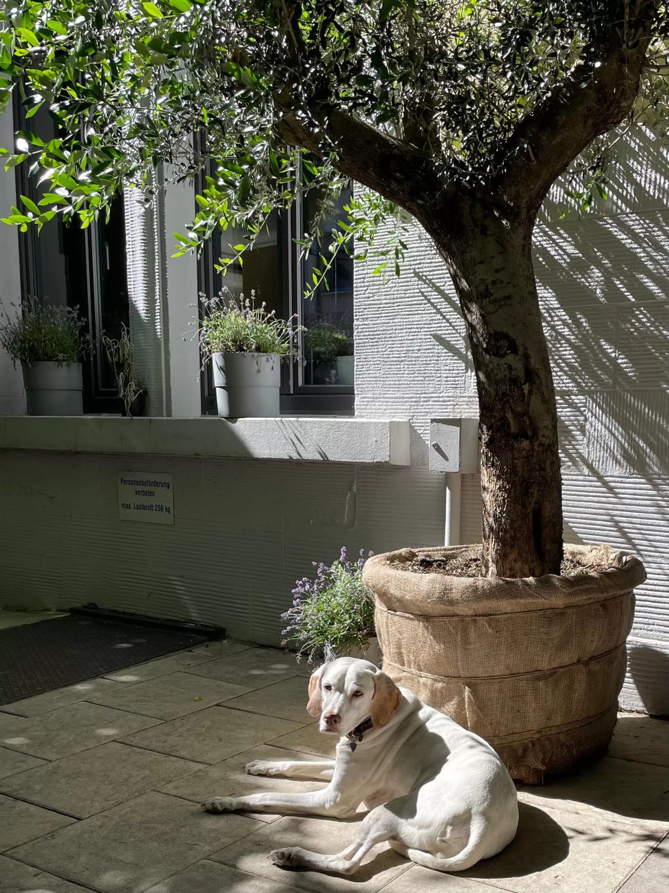 Restaurant/places to eat in AUERSTEIN-Hotels auerstein & auerstein-mono