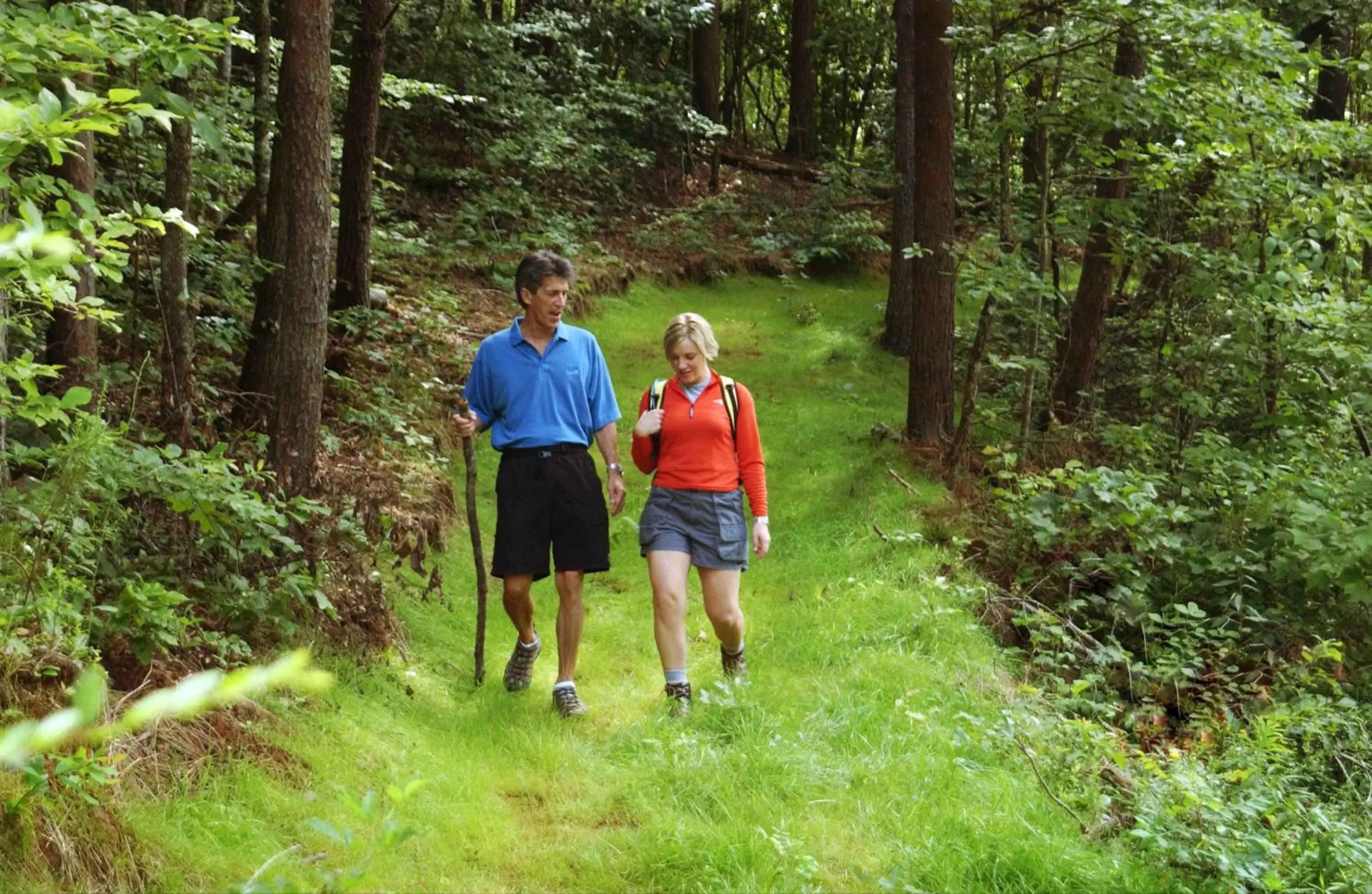 Hiking in Brasstown Valley Resort & Spa