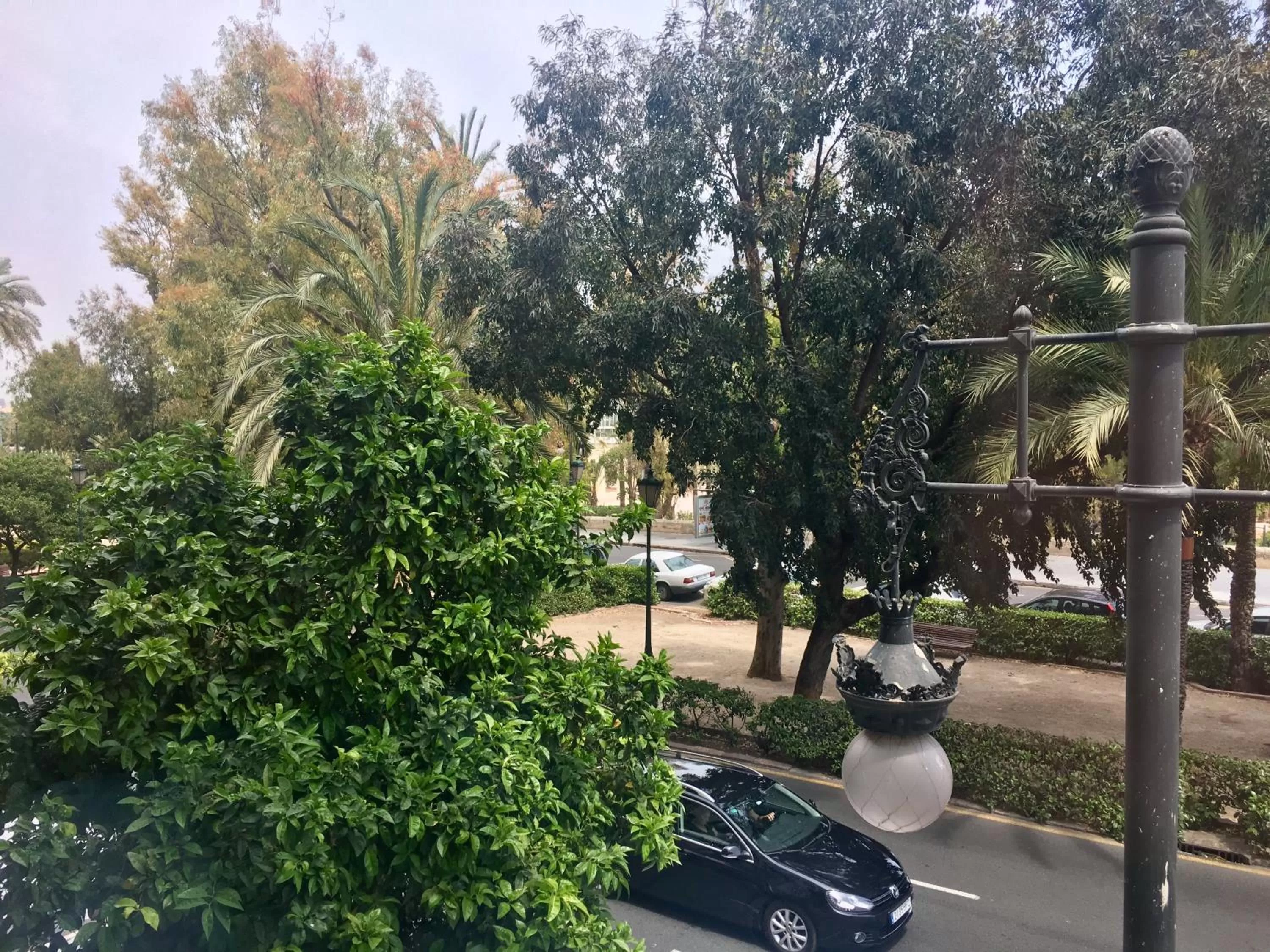 View (from property/room) in MD Modern Hotel - Jardines