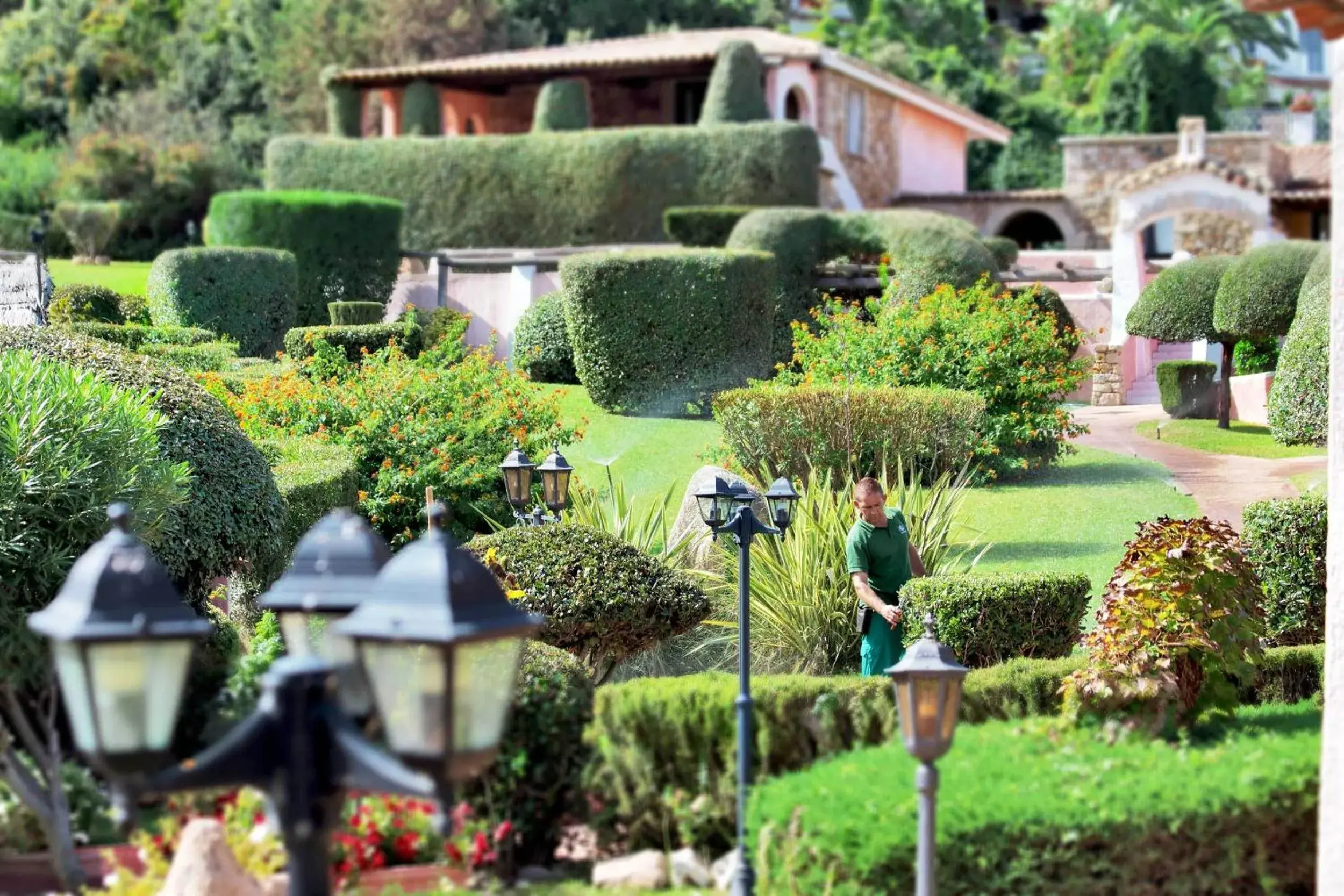 Garden in Colonna Park Hotel