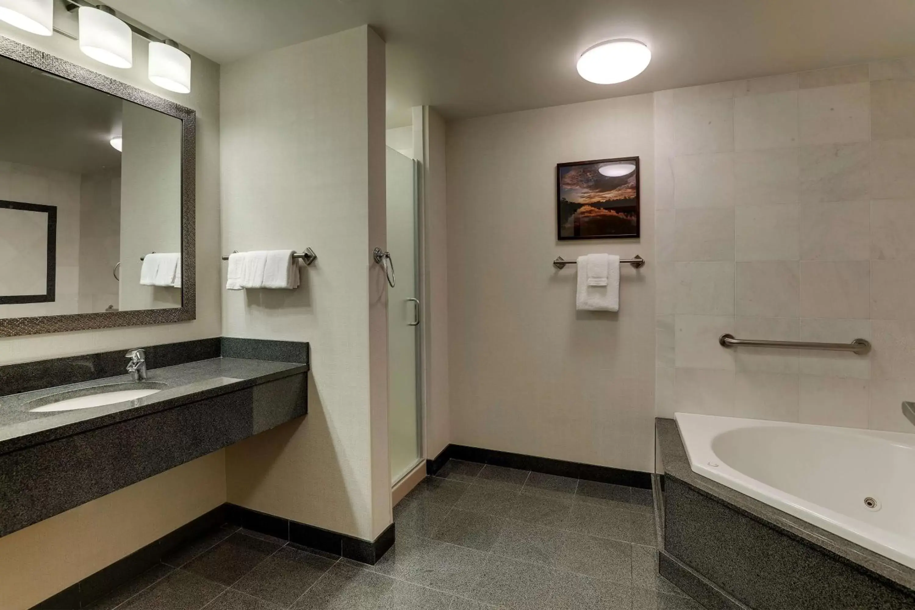 Bathroom in Drury Inn & Suites St. Louis Arnold