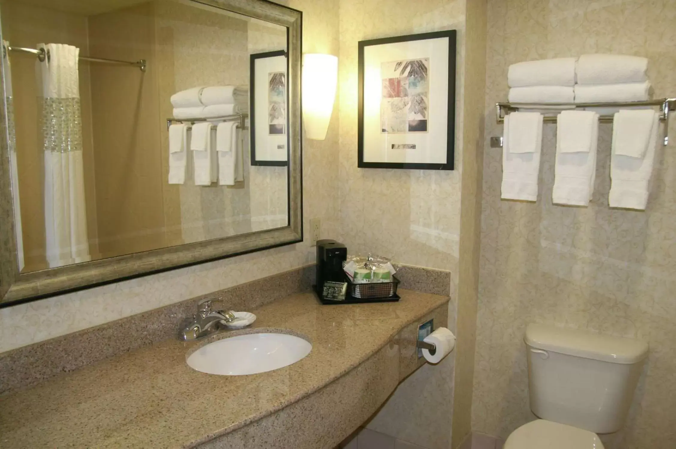 Bathroom in Hampton Inn & Suites Spartanburg-I-26-Westgate Mall