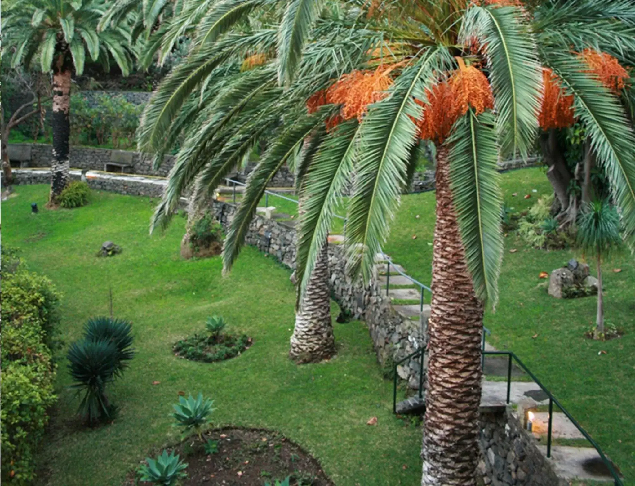 Garden in Dom Pedro Madeira