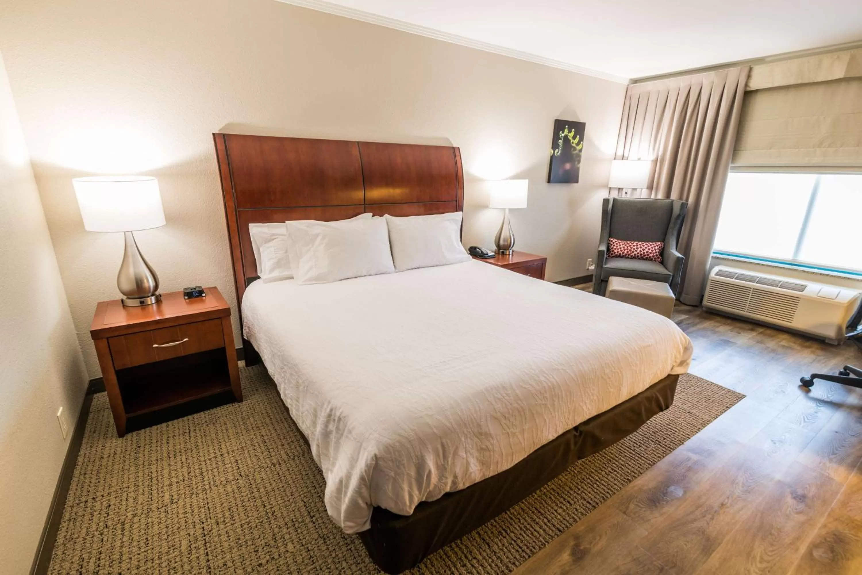 Living room, Bed in Hilton Garden Inn Bowling Green