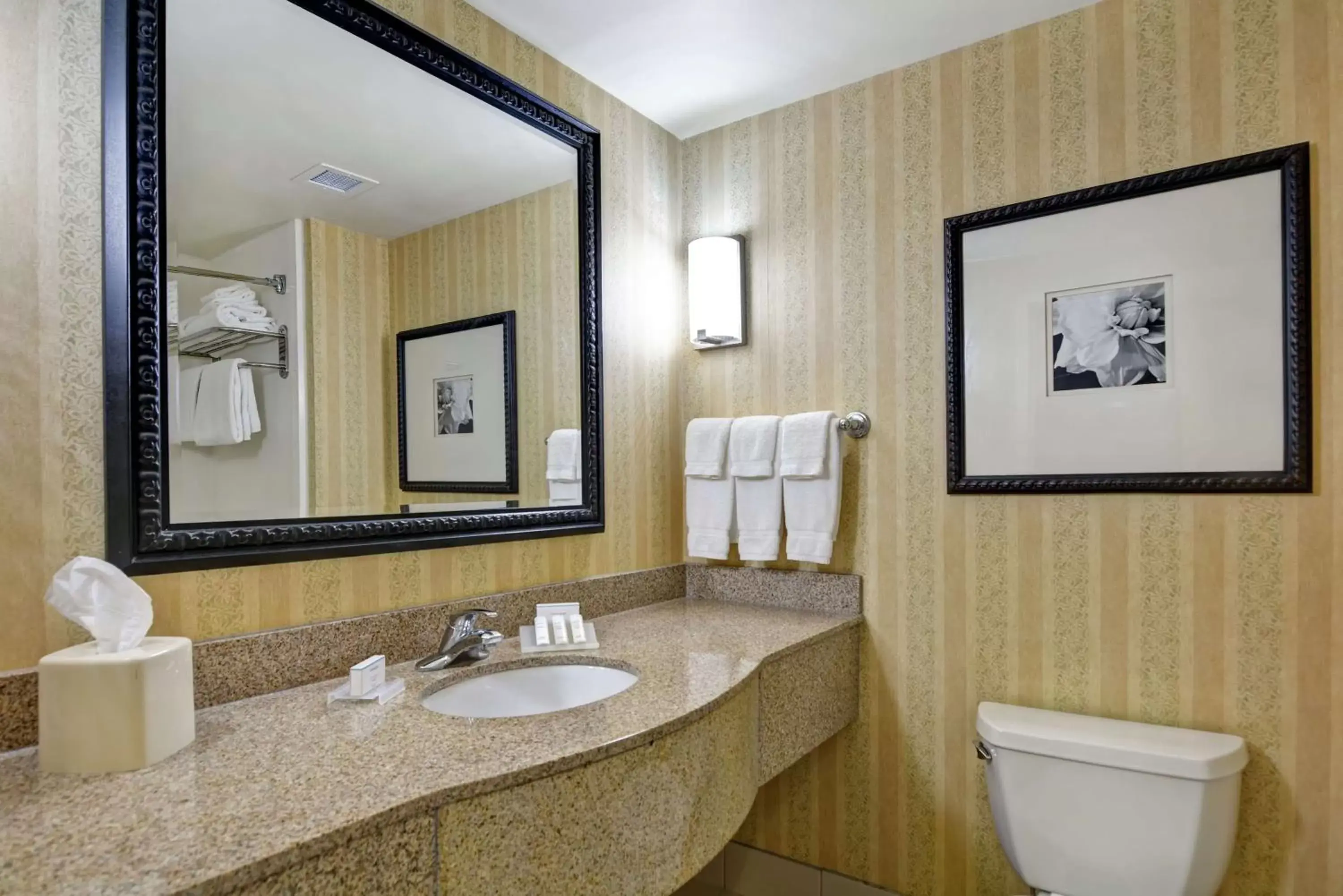 Bathroom in Hilton Garden Inn Hattiesburg
