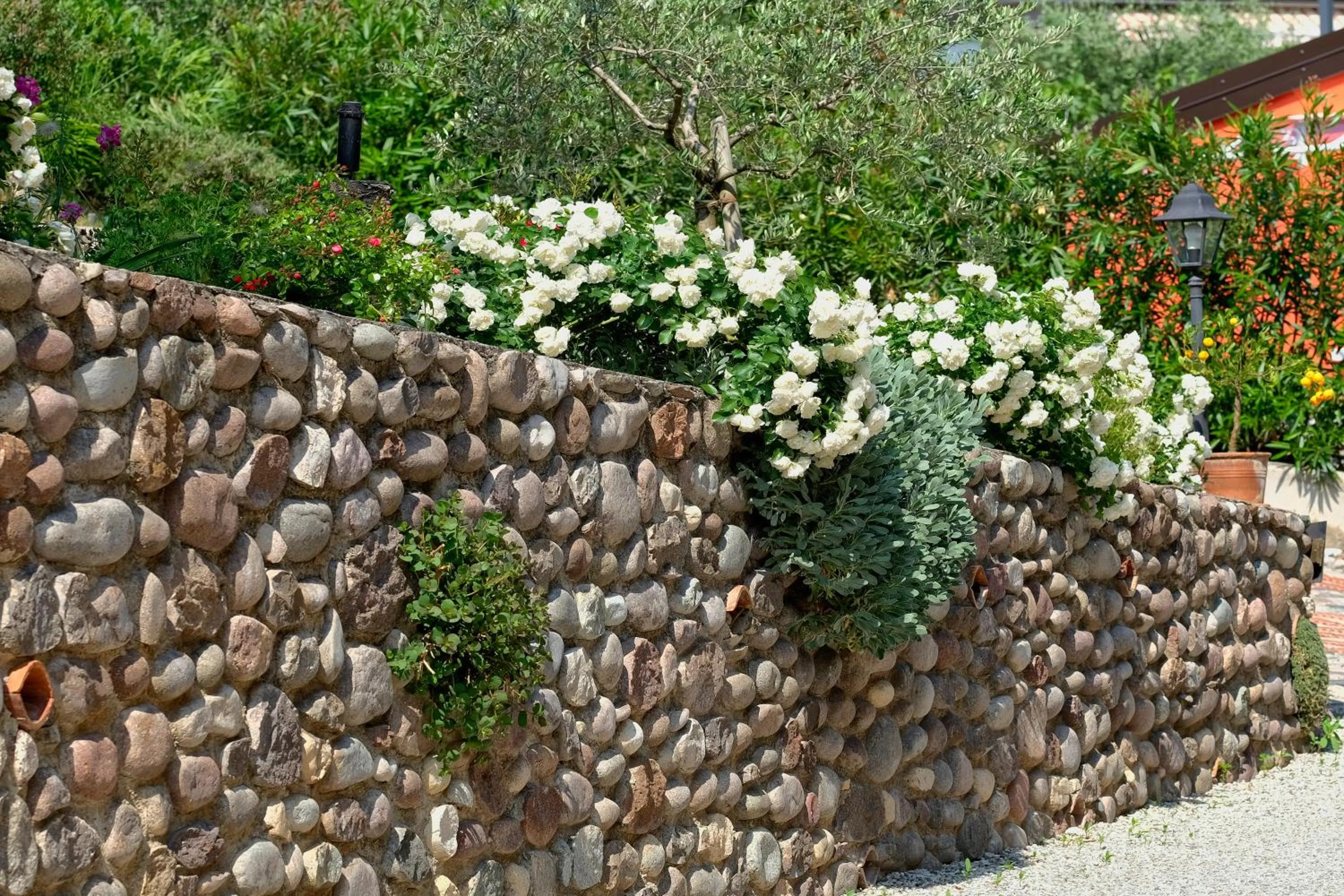 Garden in Villa Madrina Lovely and Dynamic Hotel