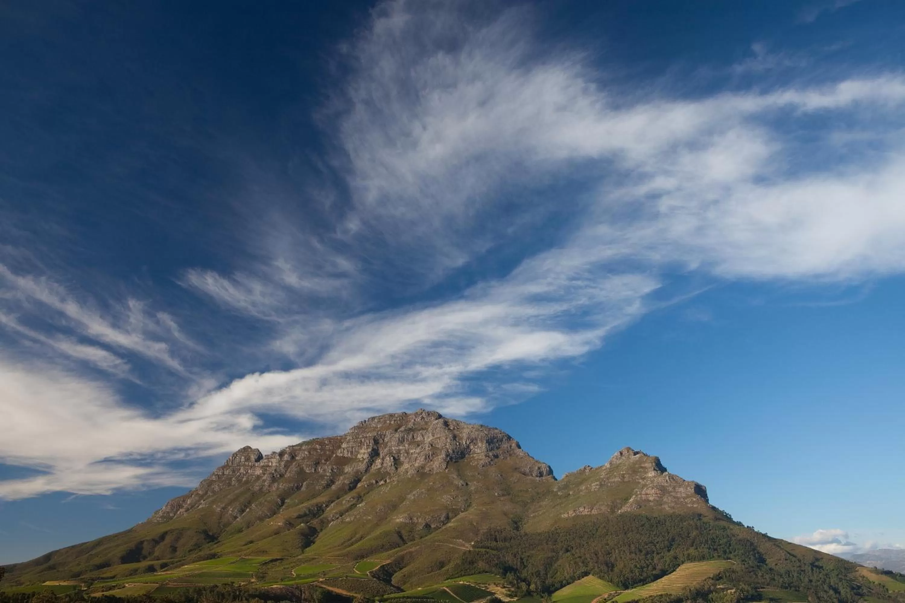 Natural landscape in Clouds Estate