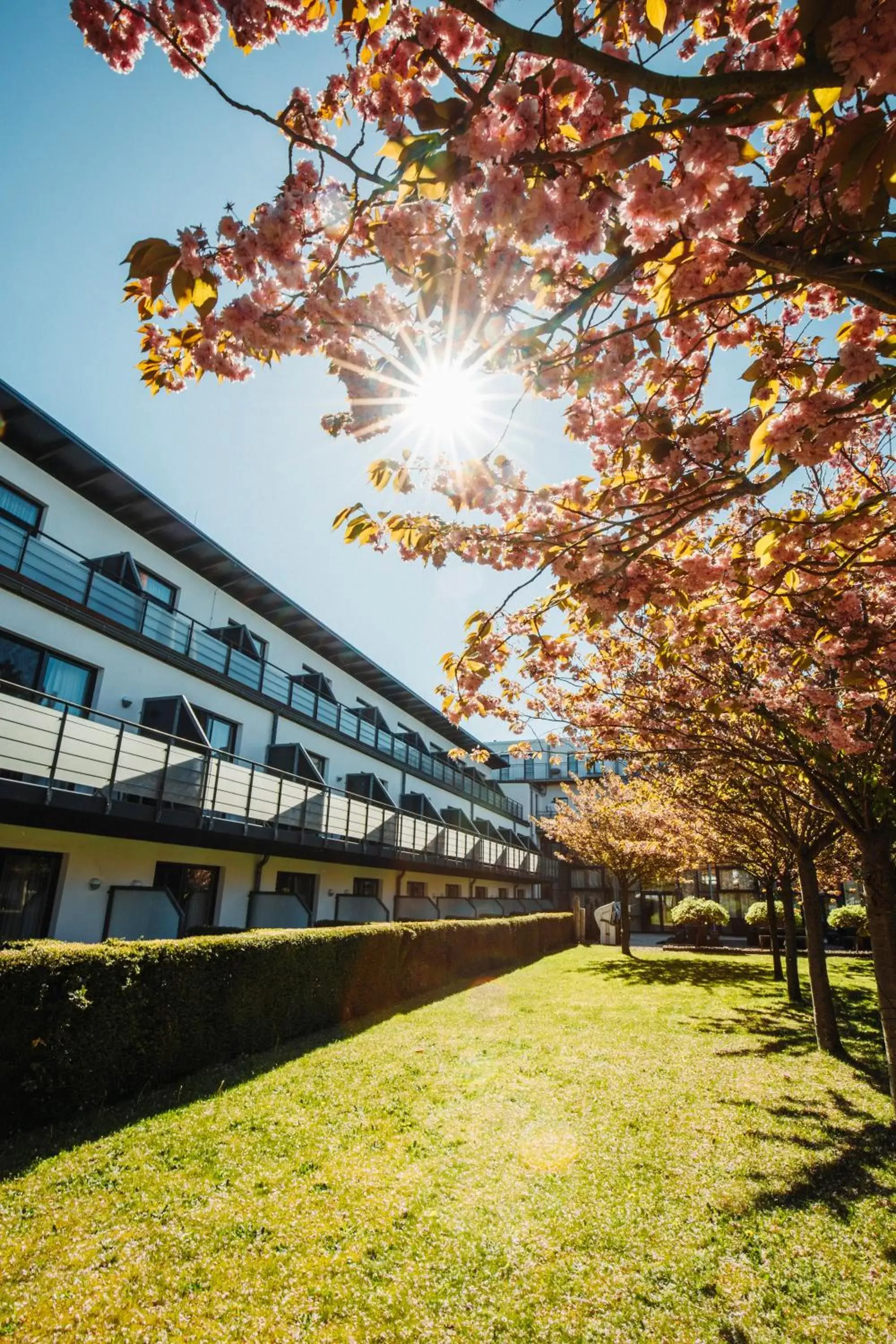 Garden, Property Building in Resort Hotel Vier Jahreszeiten Zingst