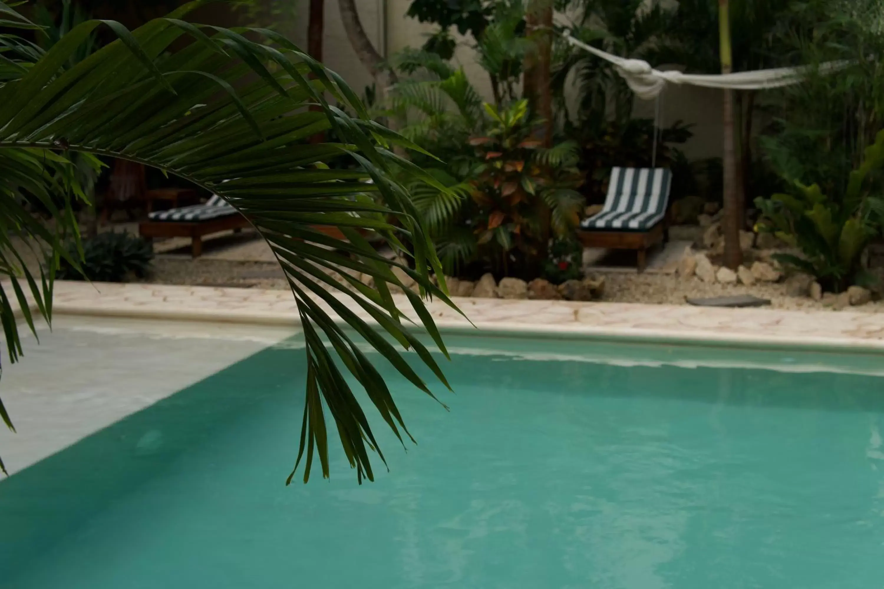 Day, Swimming Pool in Aldea San Lam - Oasis Of Tulum