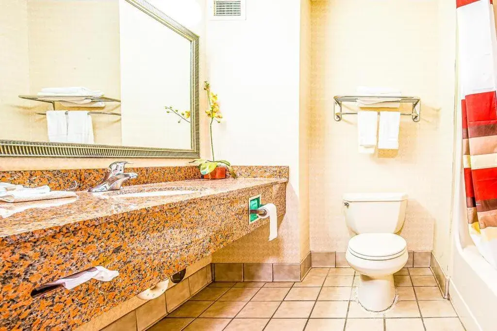 Bathroom in Red Roof Inn & Suites Galloway