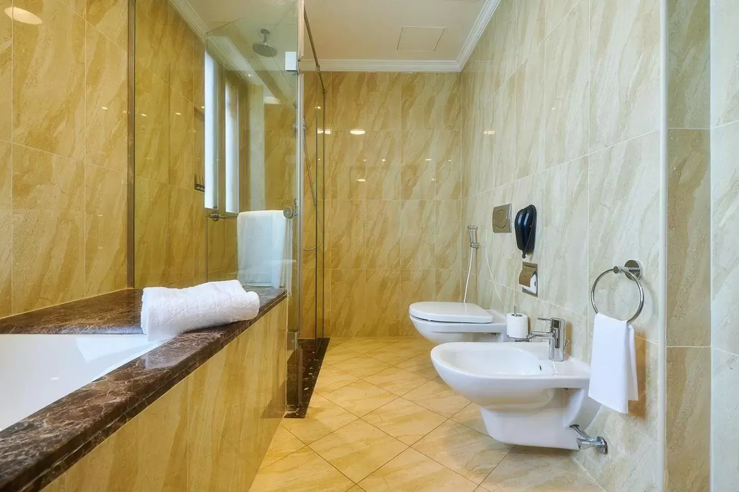 Toilet, Bathroom in Bahi Ajman Palace Hotel