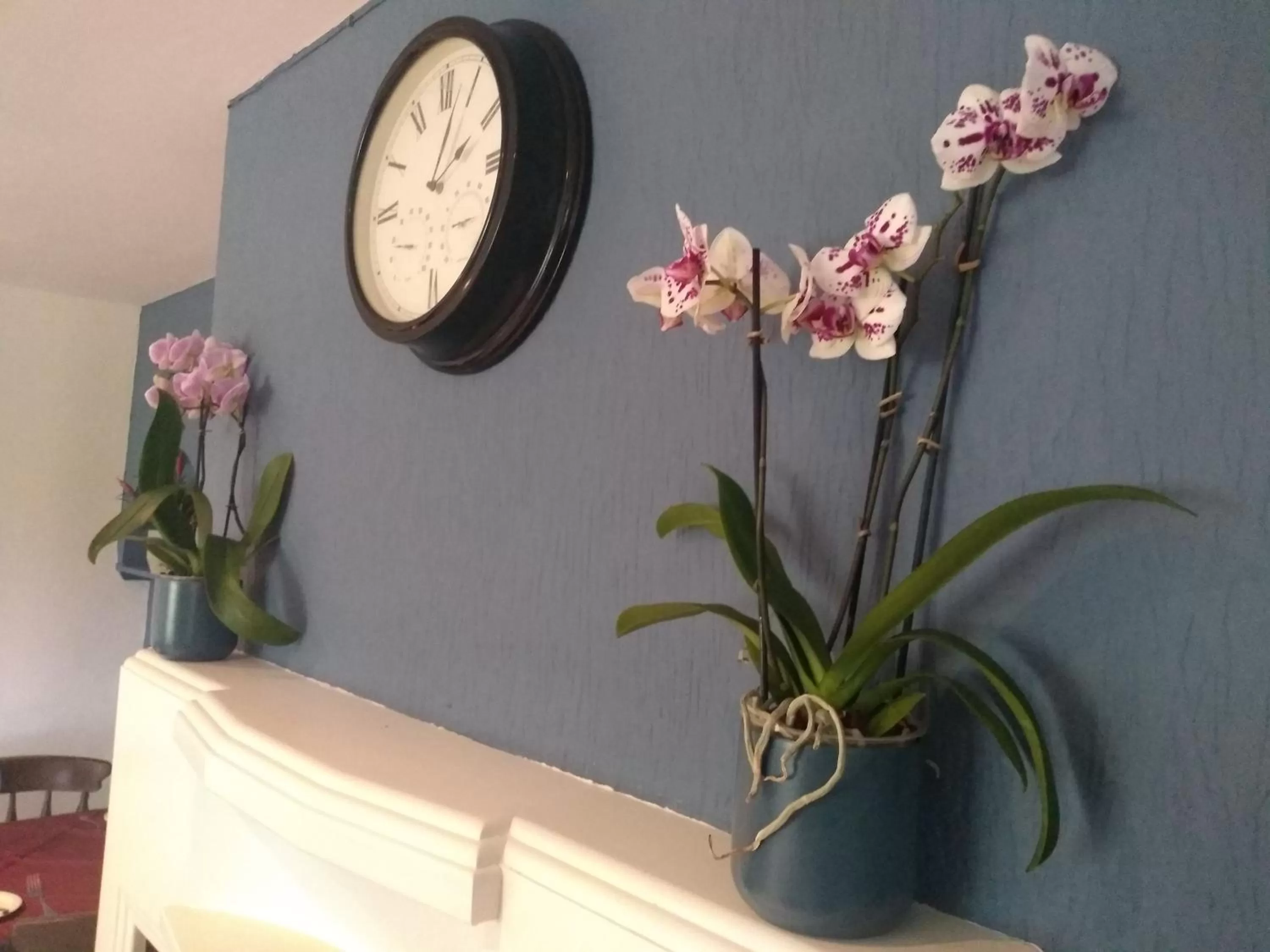 Restaurant/places to eat in The Crossings