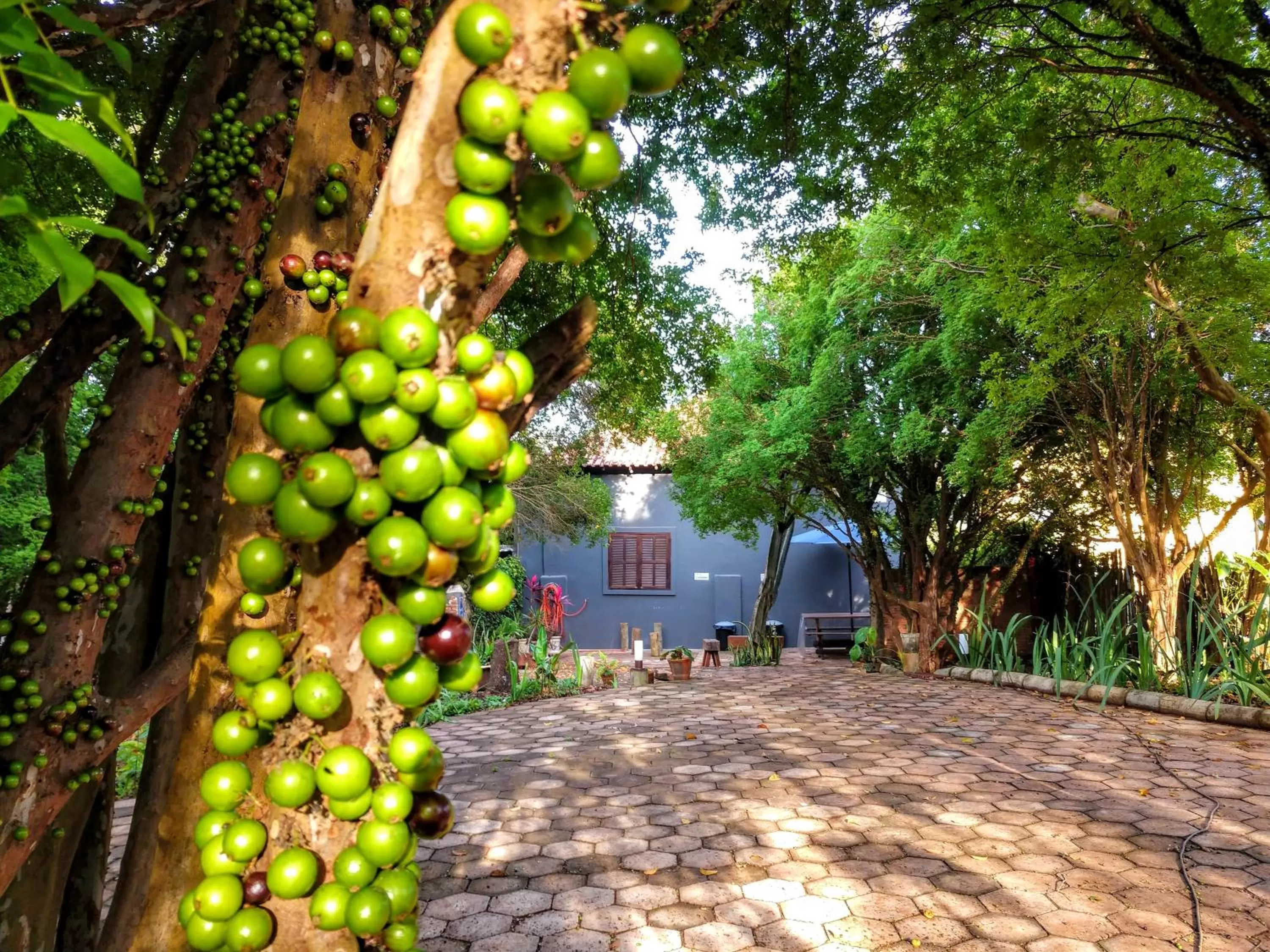 Property building in Suítes no Quintal