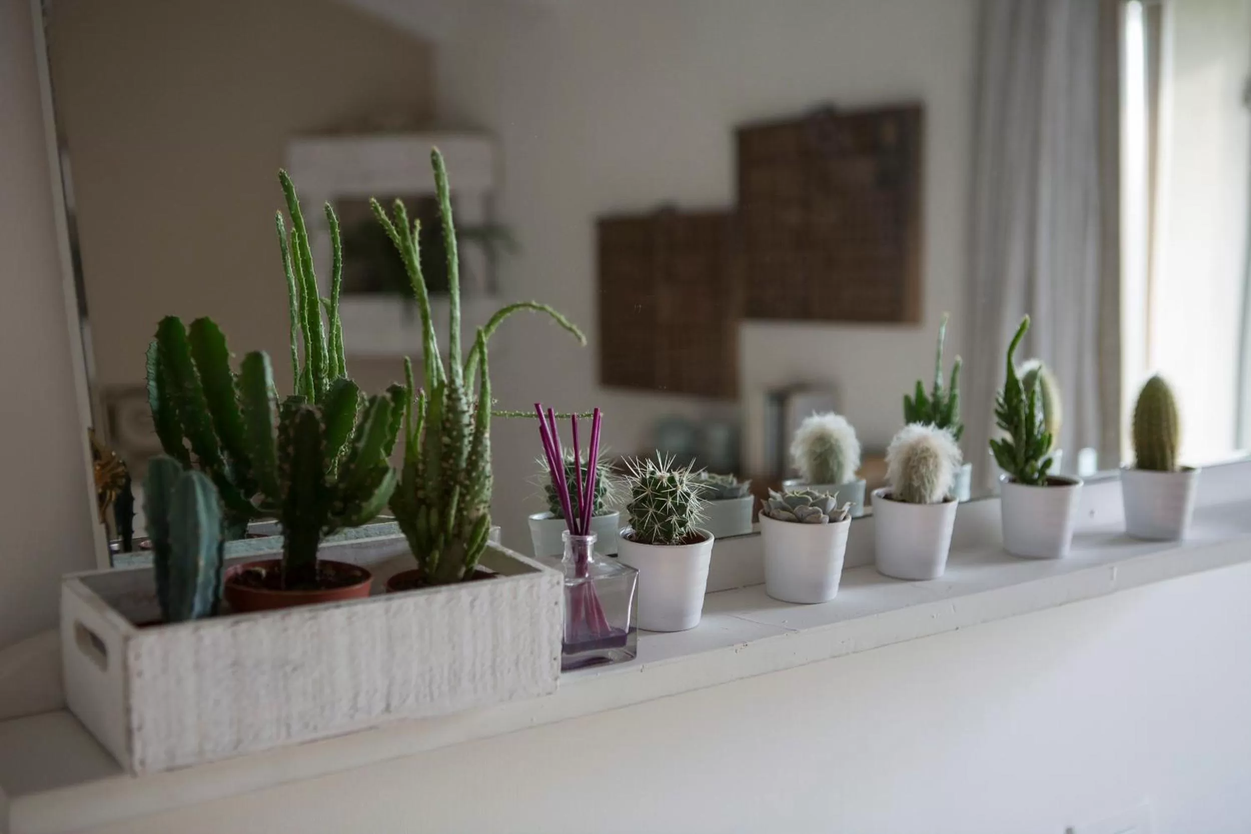 Decorative detail in A Casa Di Ita