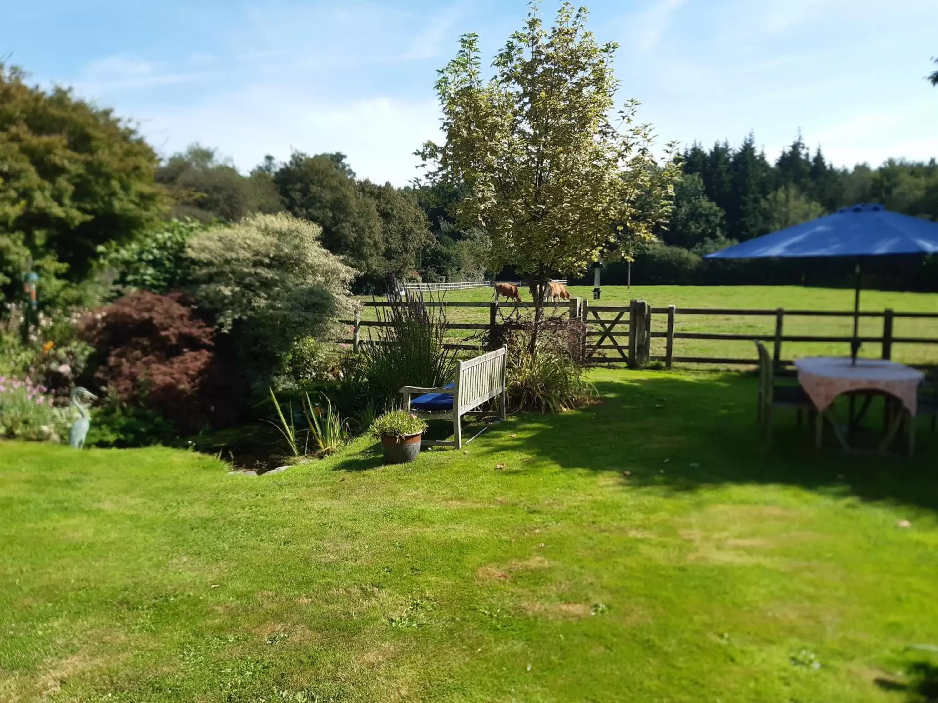 Garden in Woodlands Cottage Farm