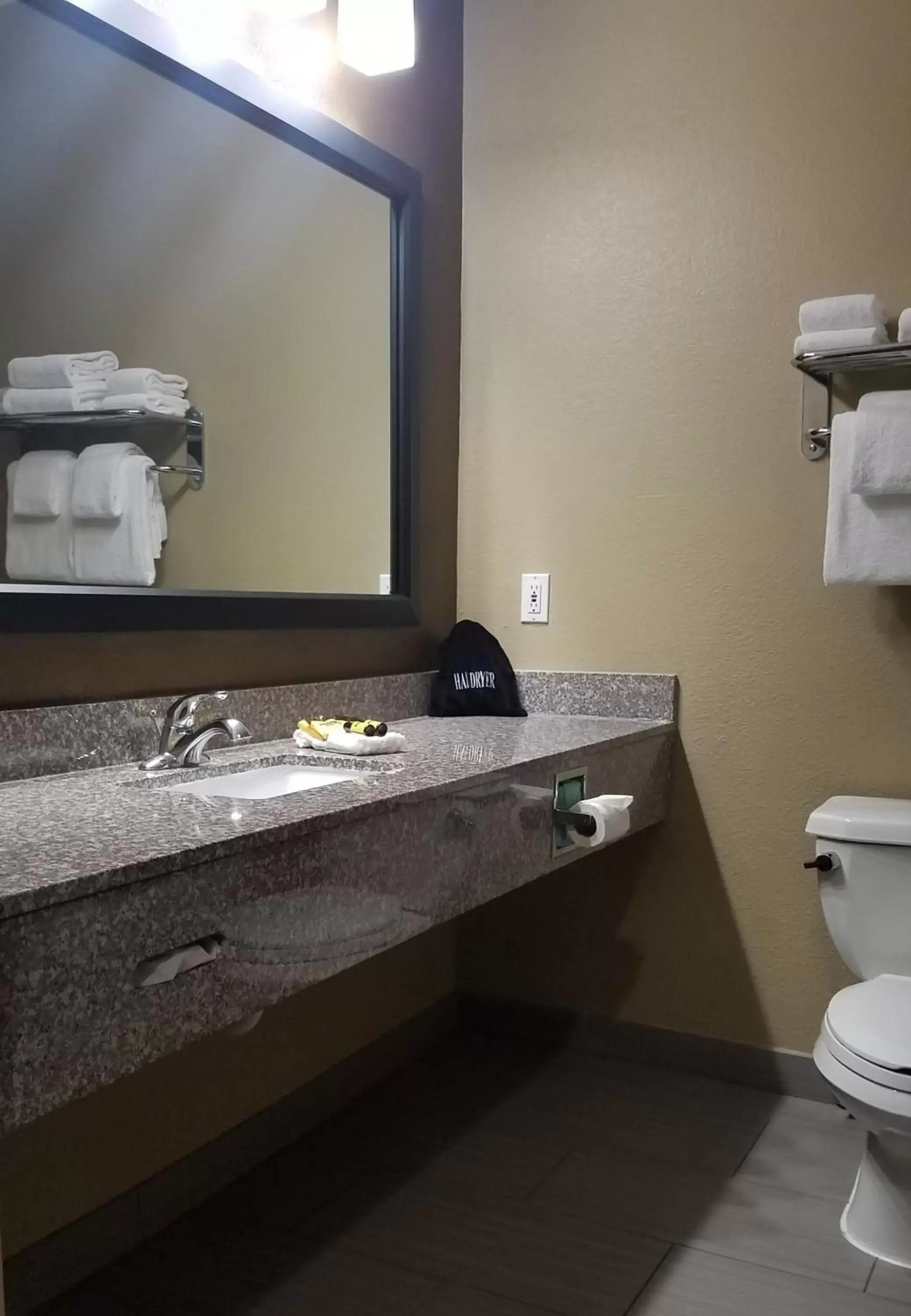 Bathroom in Best Western Plus Heritage Inn Houston