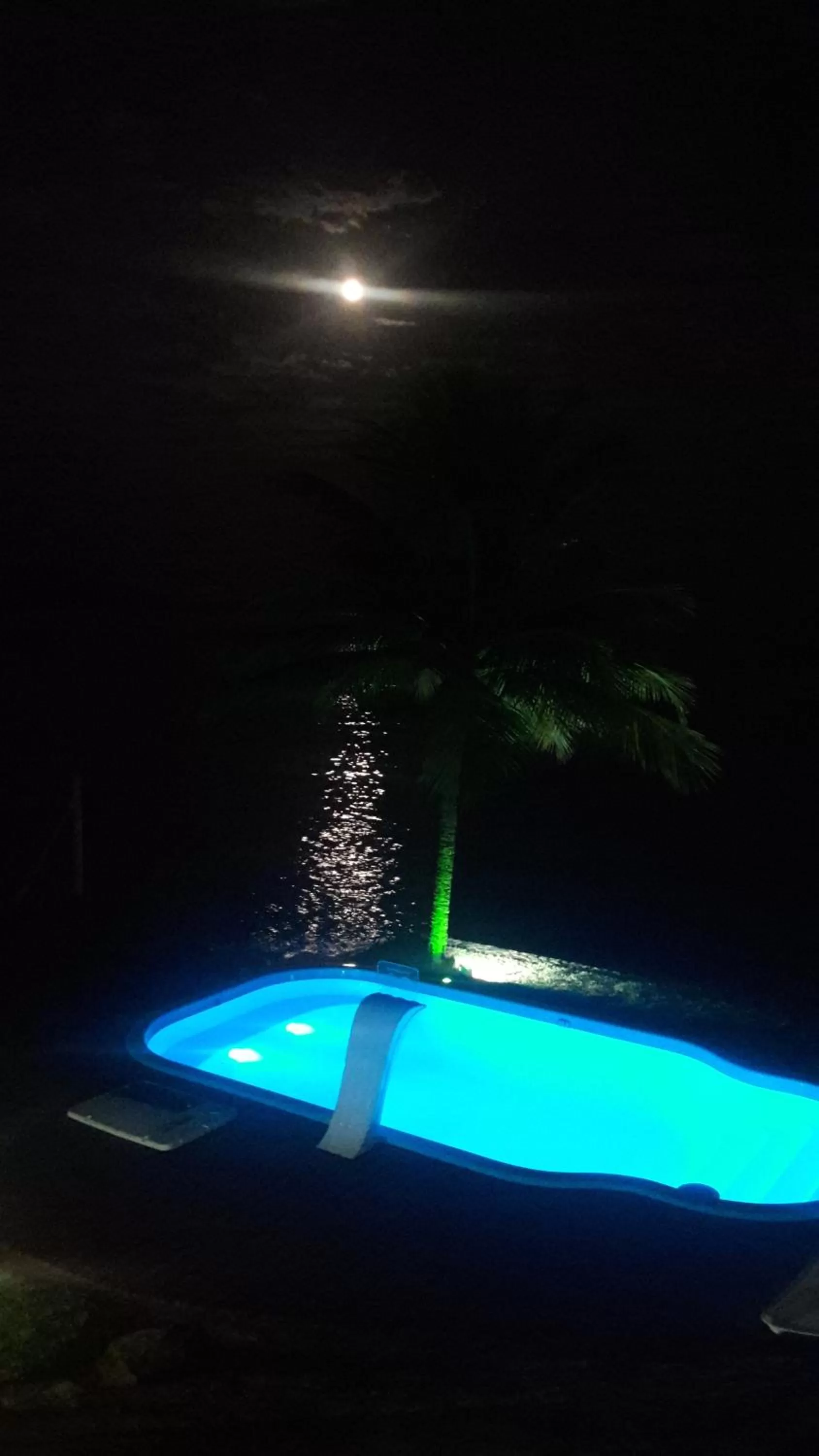 Swimming pool in Ocean Green Flats