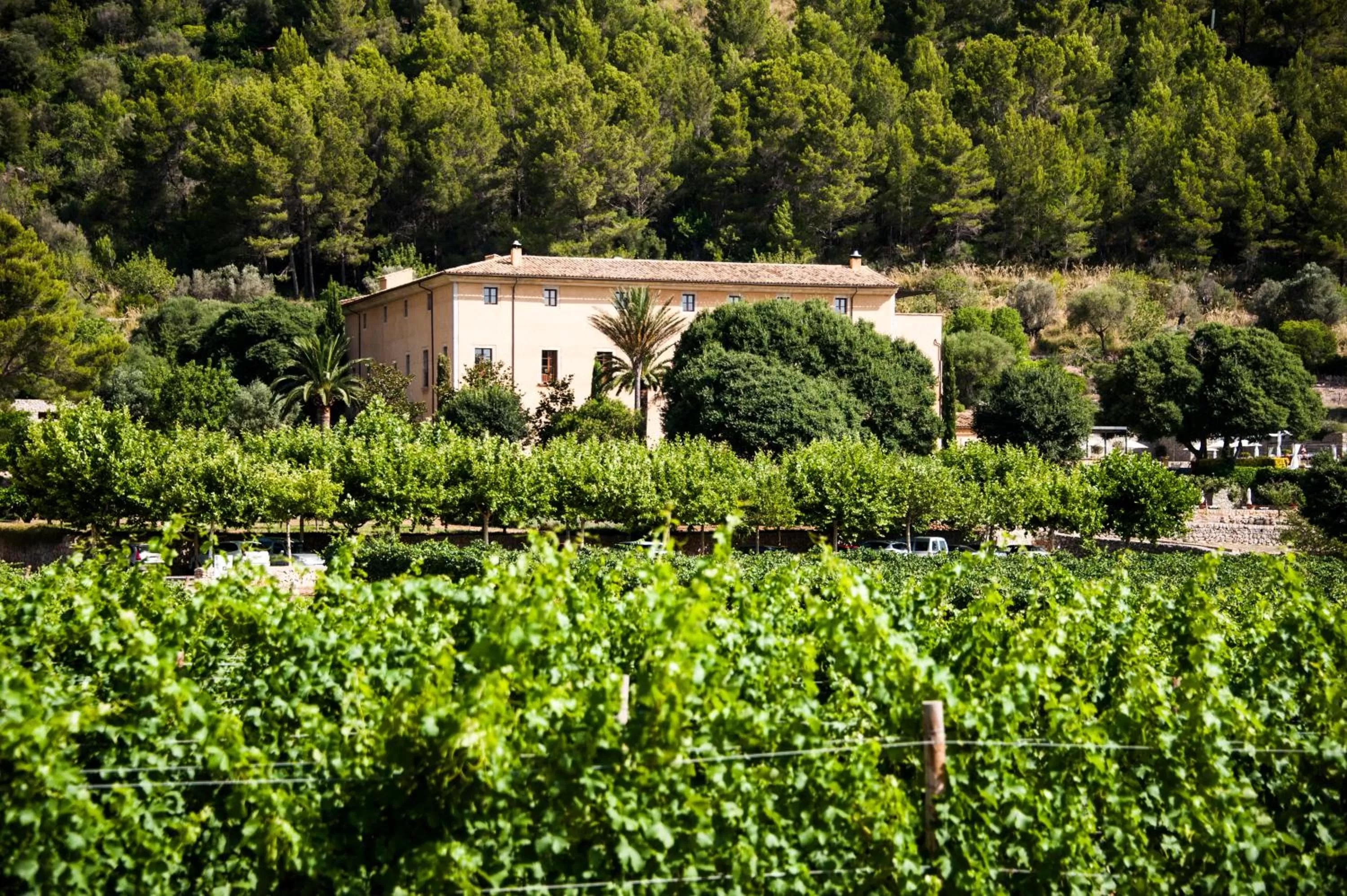 Facade/entrance in Son Brull Hotel & Spa - Relais & Chateaux