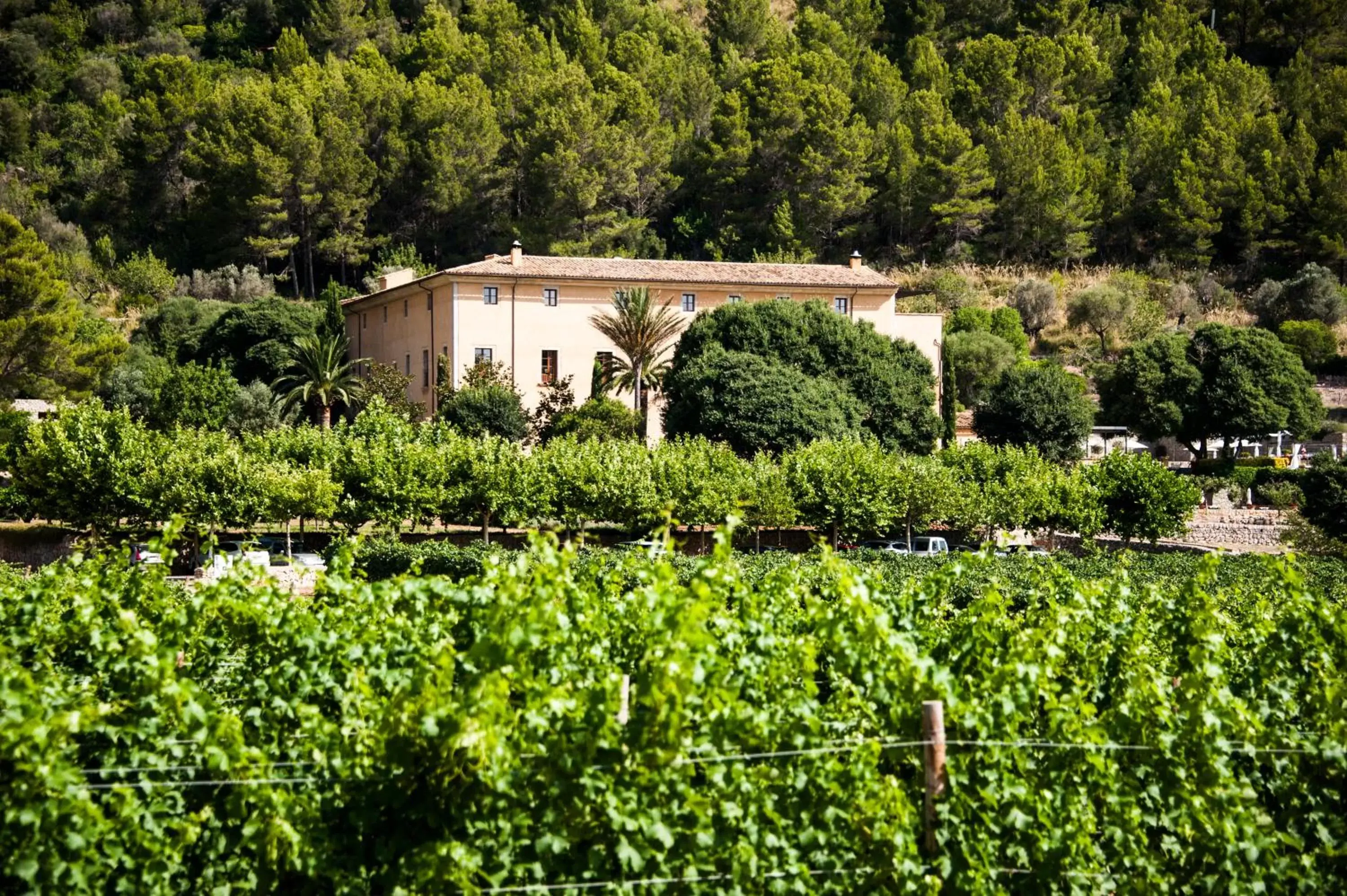 Facade/entrance in Son Brull Hotel & Spa - Relais & Chateaux Facade/entrance in Son Brull Hotel & Spa - Relais & Chateaux