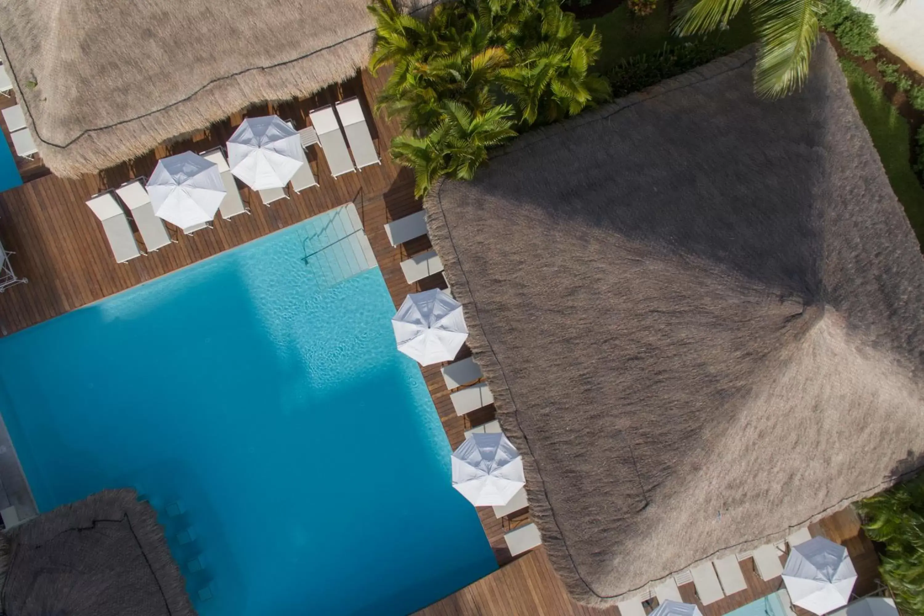 Swimming pool, Bird's-eye View in Privilege Aluxes Adults Only