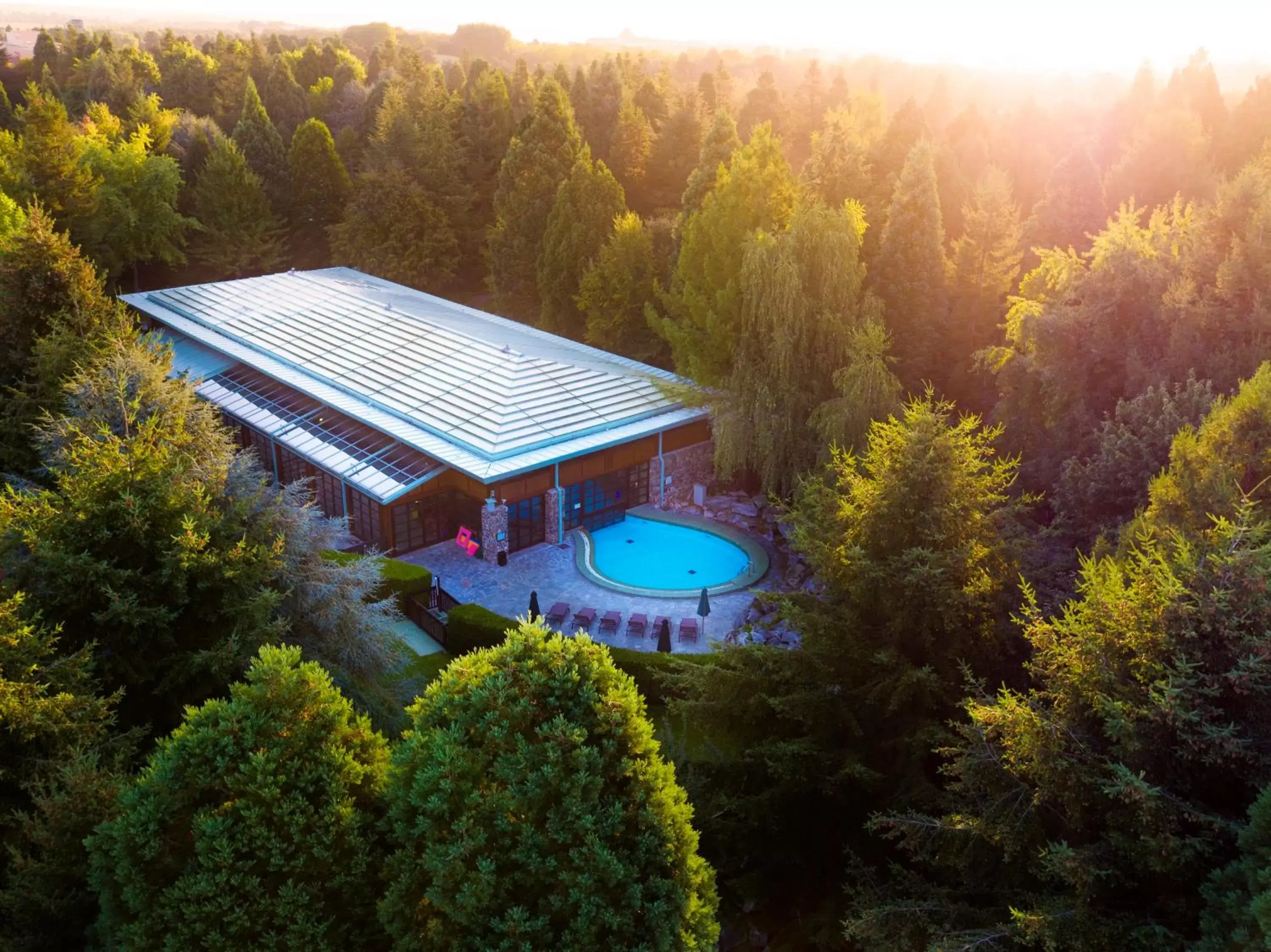 Swimming pool, Bird's-eye View in Disney Sequoia Lodge