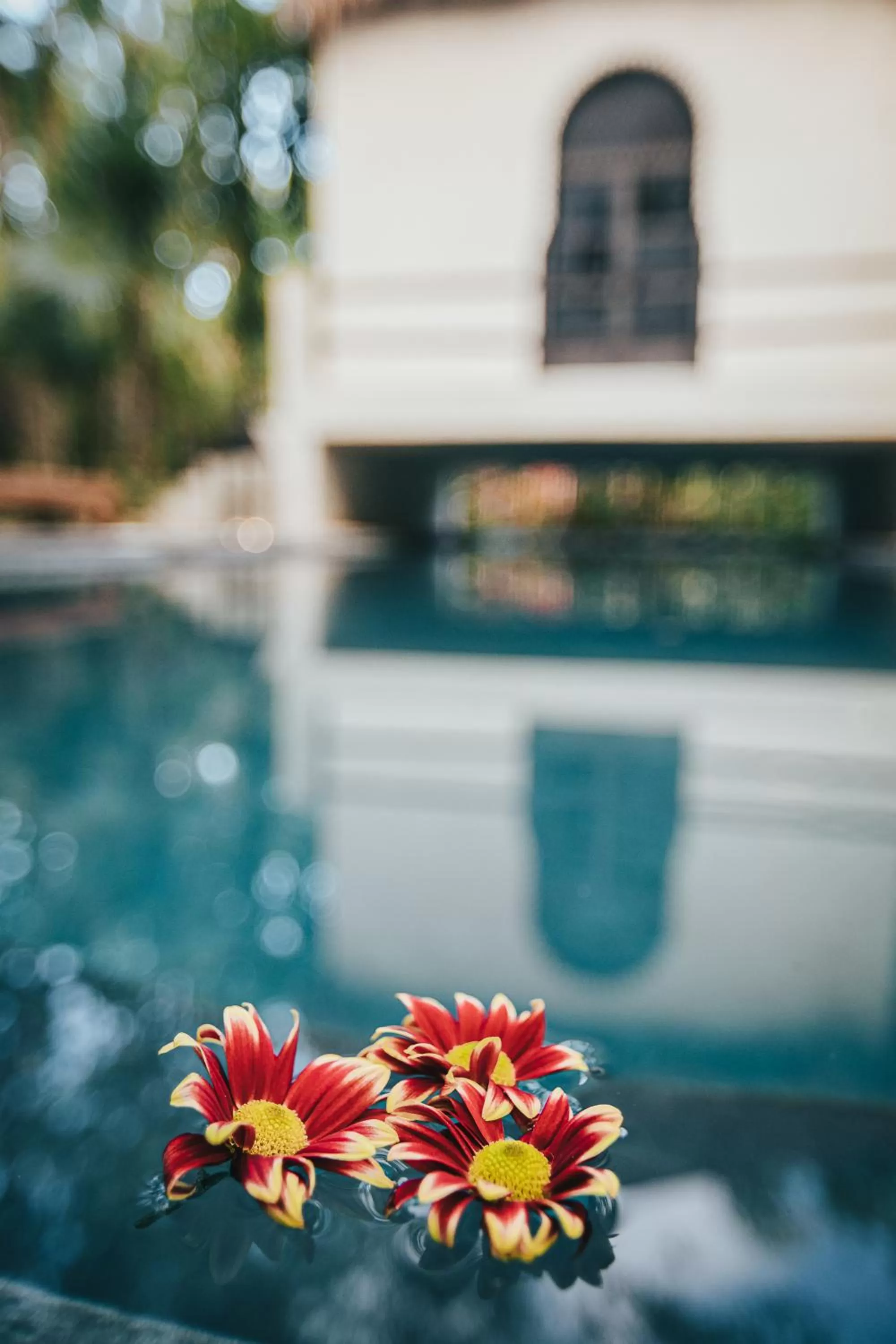 Day, Swimming Pool in Ambre & Epices Jungle Hotel & Spa