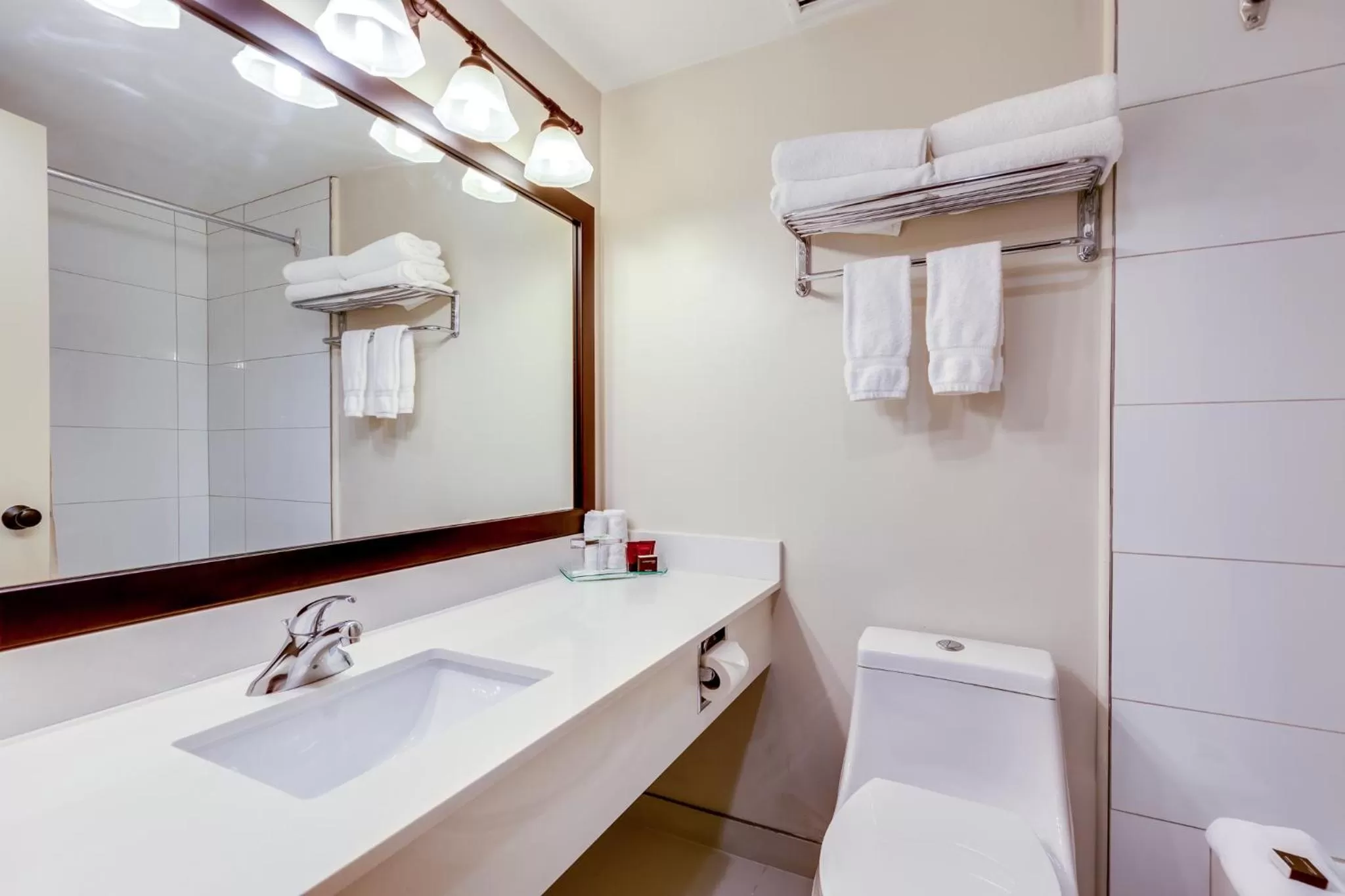 Deluxe King Suite in The Thompson Hotel