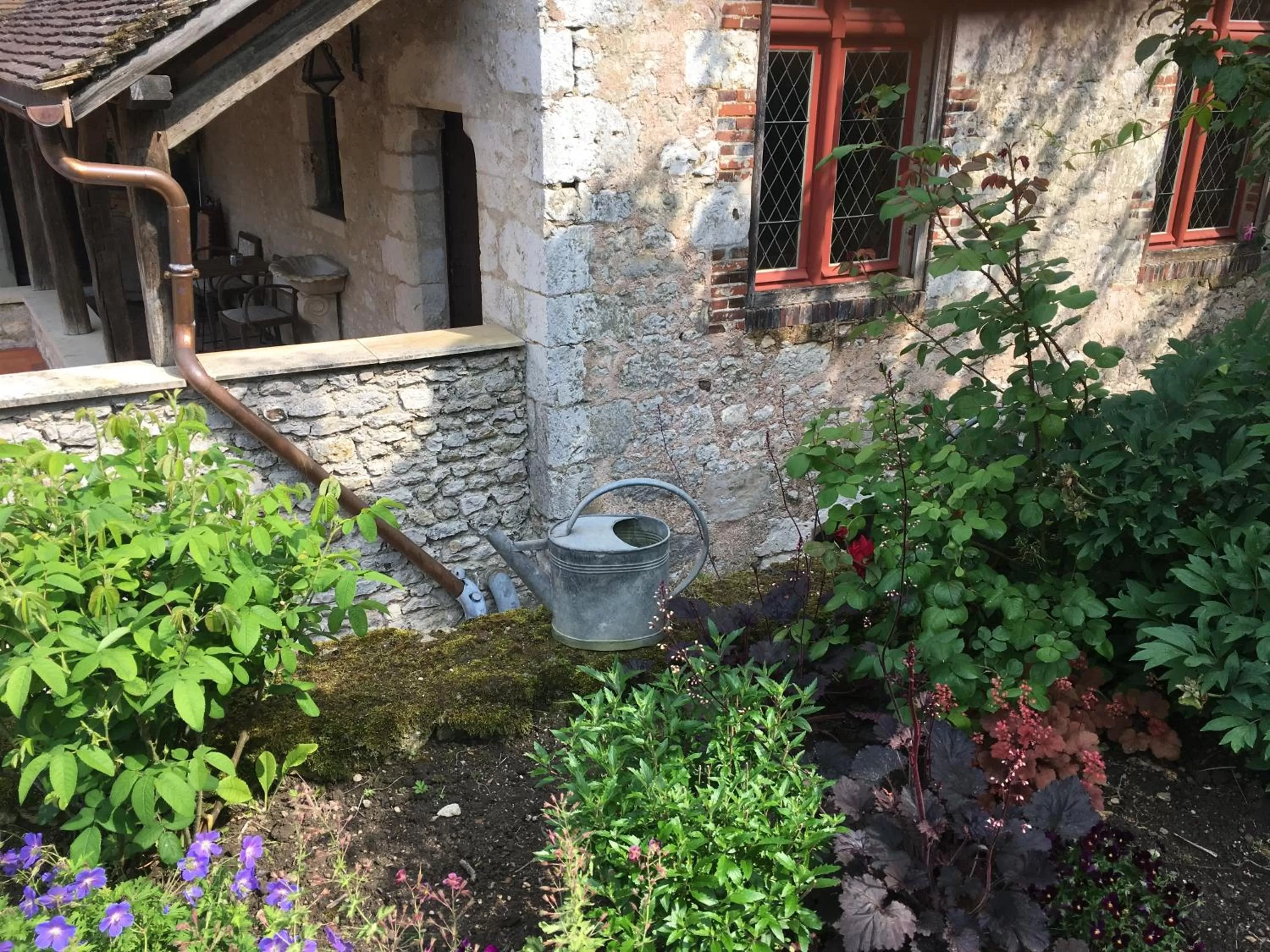 Garden in Demeure des Vieux Bains