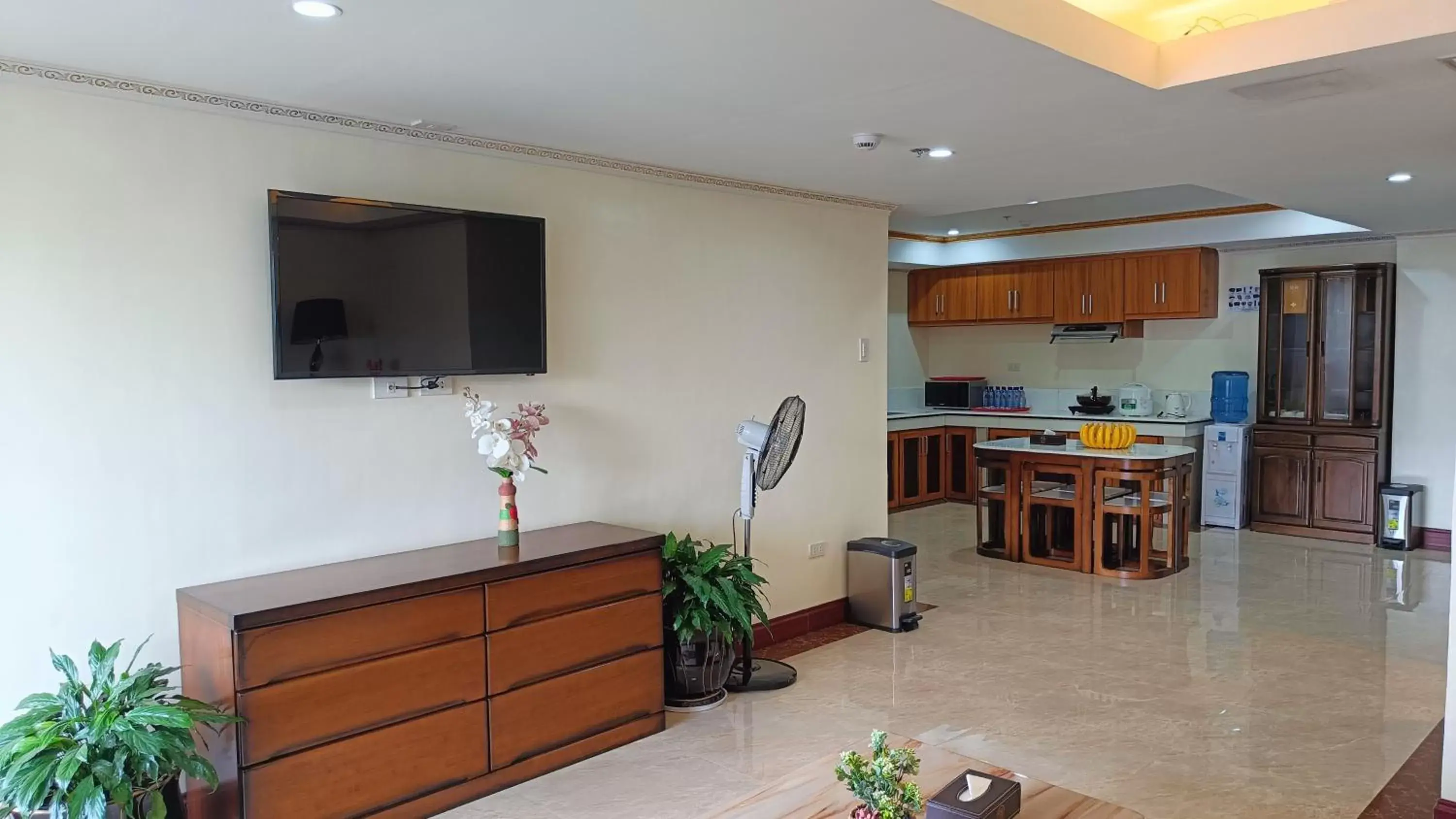 TV and multimedia, Kitchen/Kitchenette in 456 Hotel