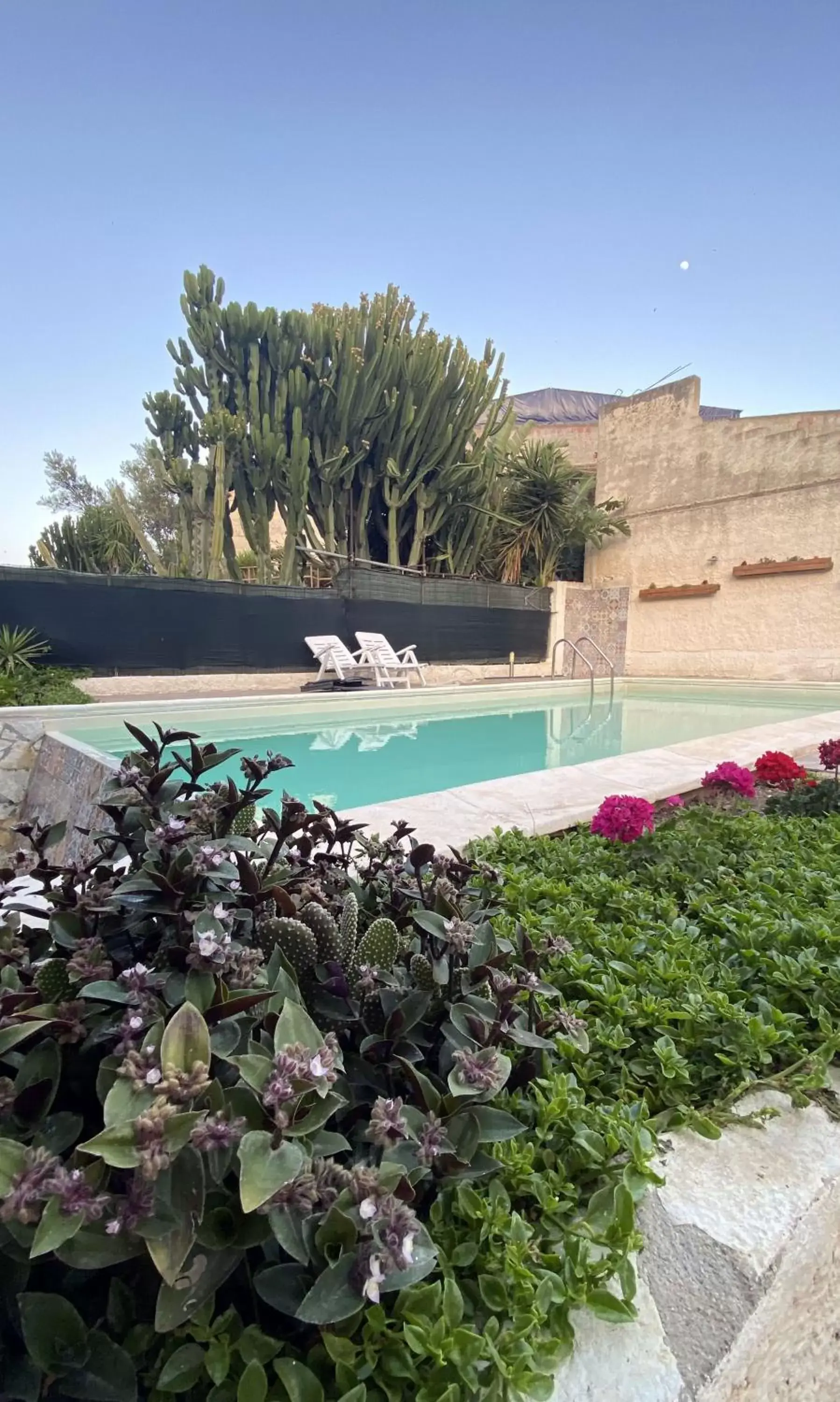 Garden, Swimming Pool in Residence del Golfo