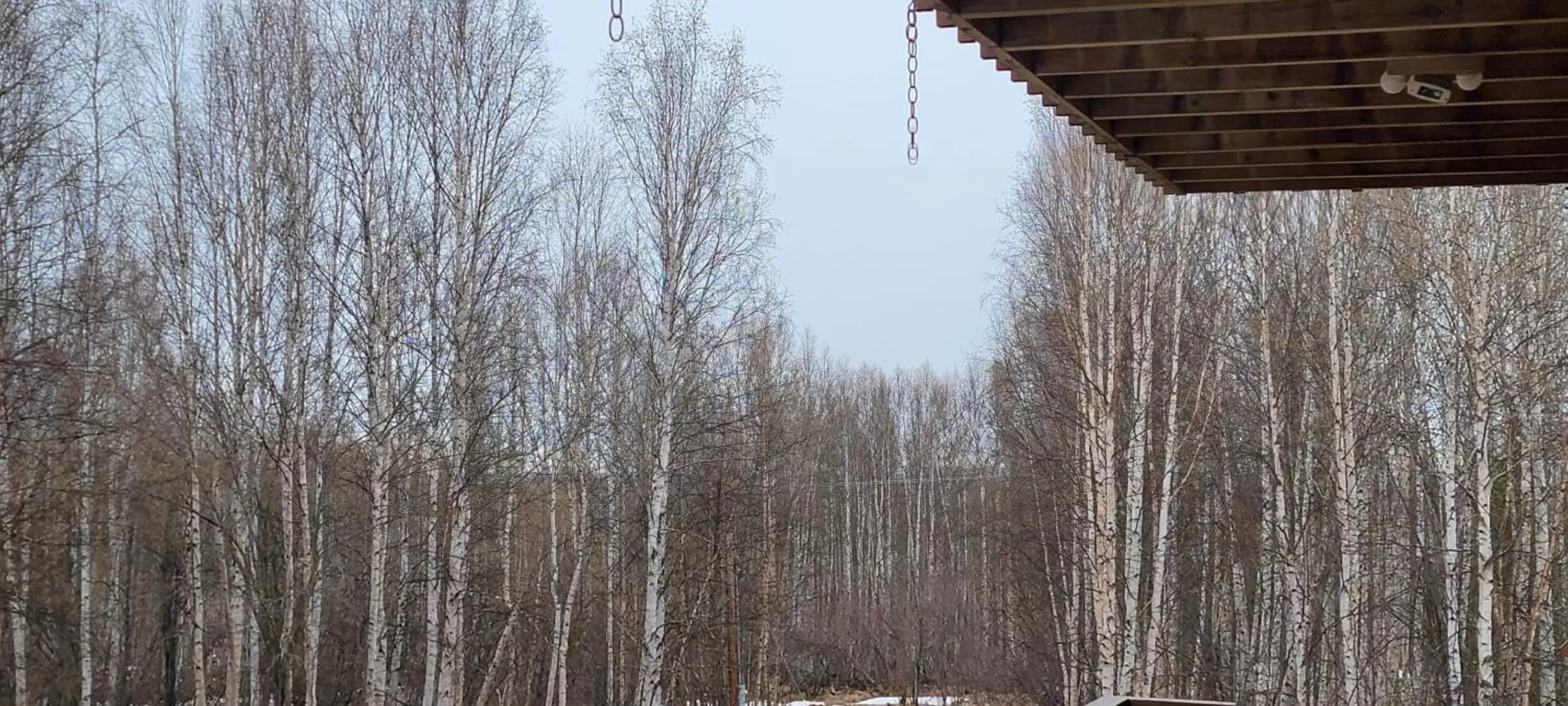 Winter in Alaska Grizzly Lodge