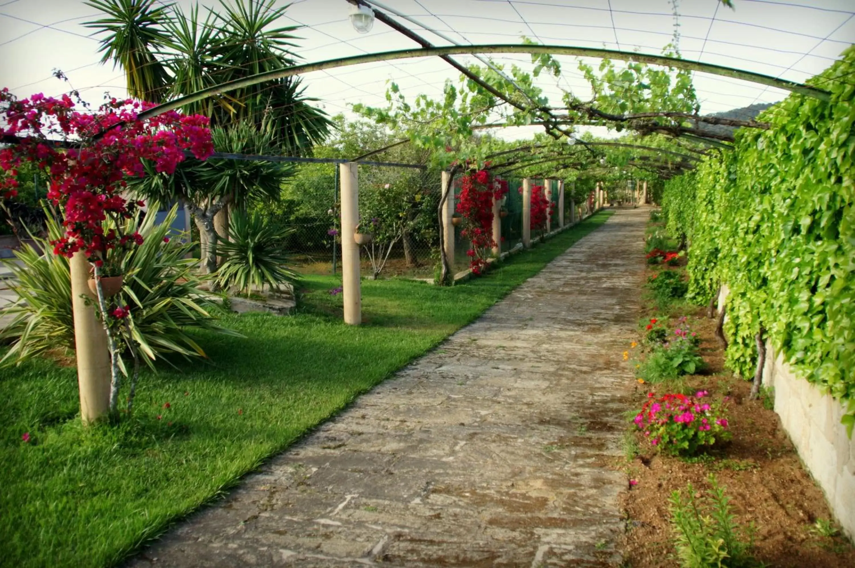 Garden in Aumallia Hotel & Spa