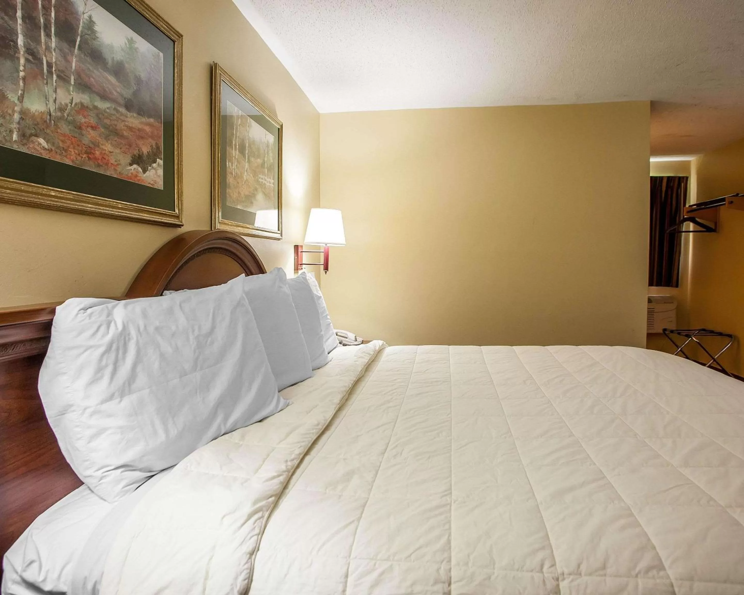 Photo of the whole room, Bed in Econo Lodge